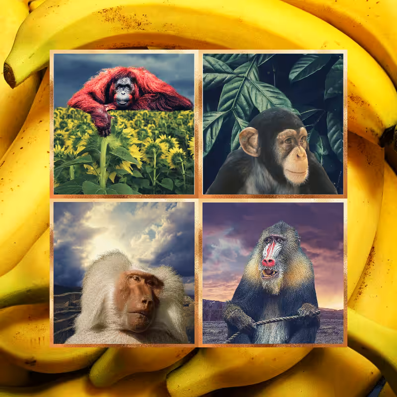 Banana legends #48