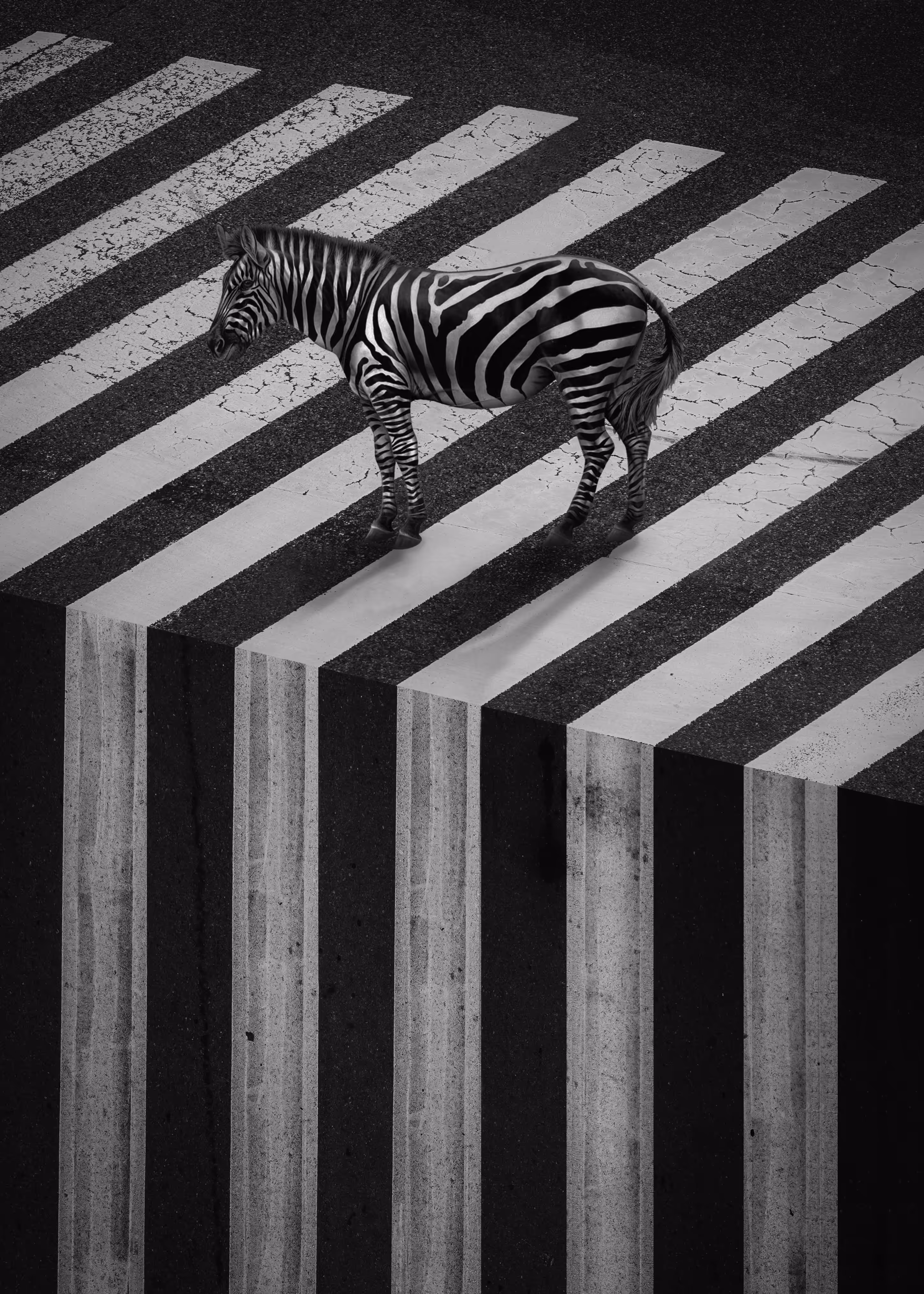 Zebra Cross