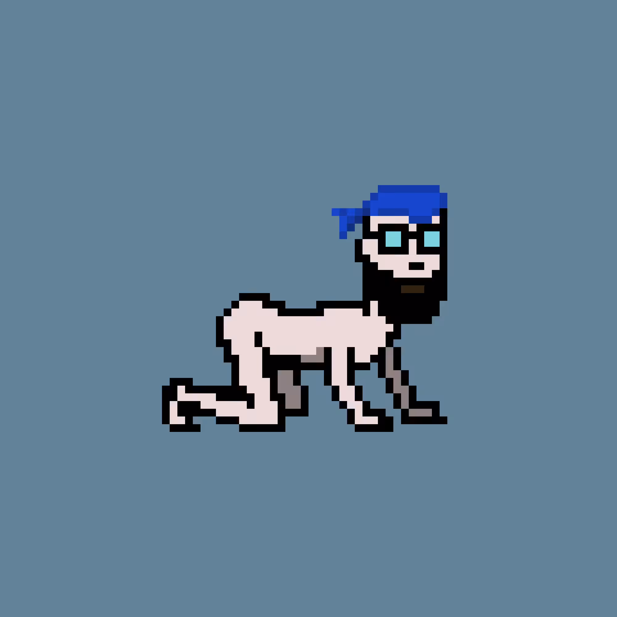 CrawlingPunks: CrawlingPunk #4342