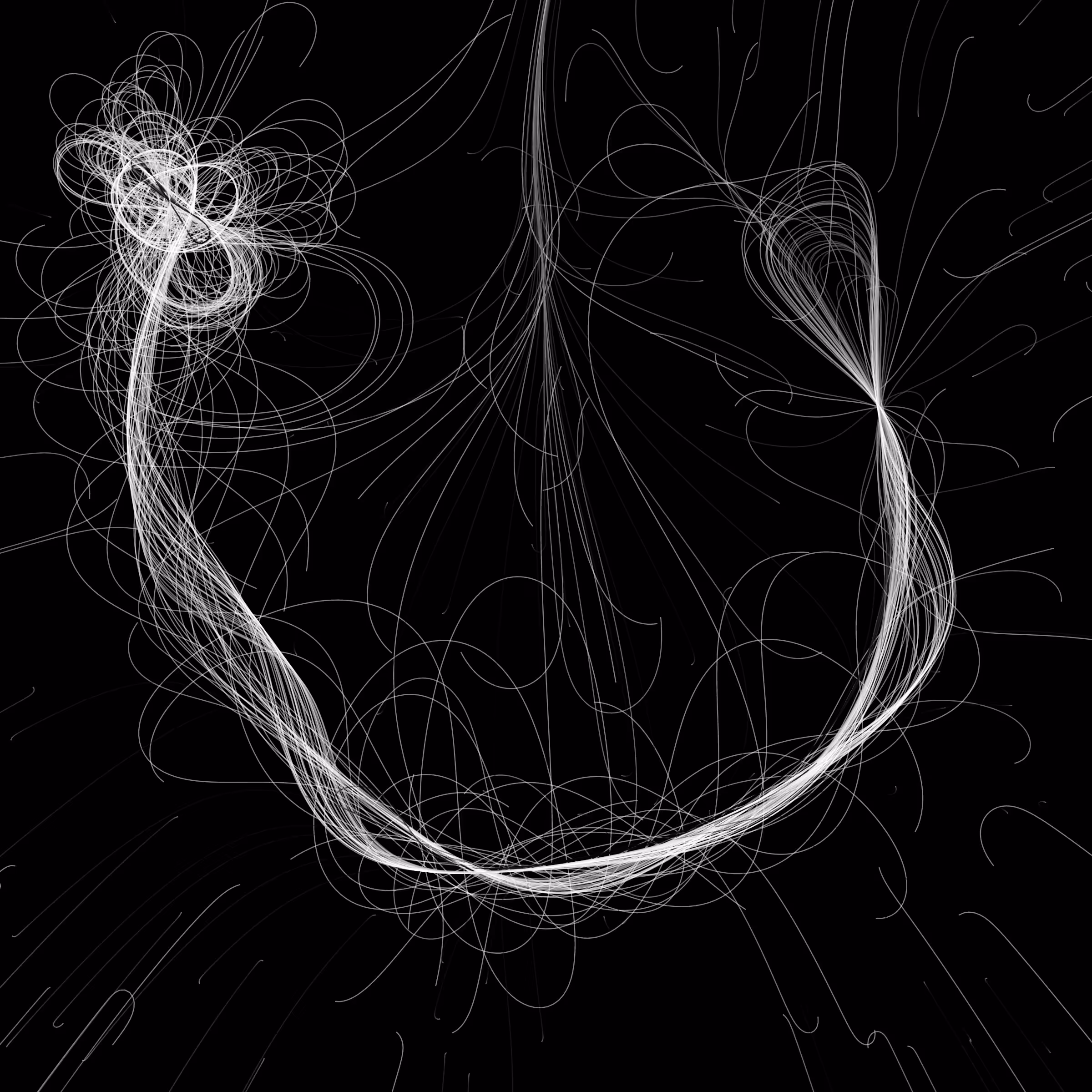 Phototaxis #459