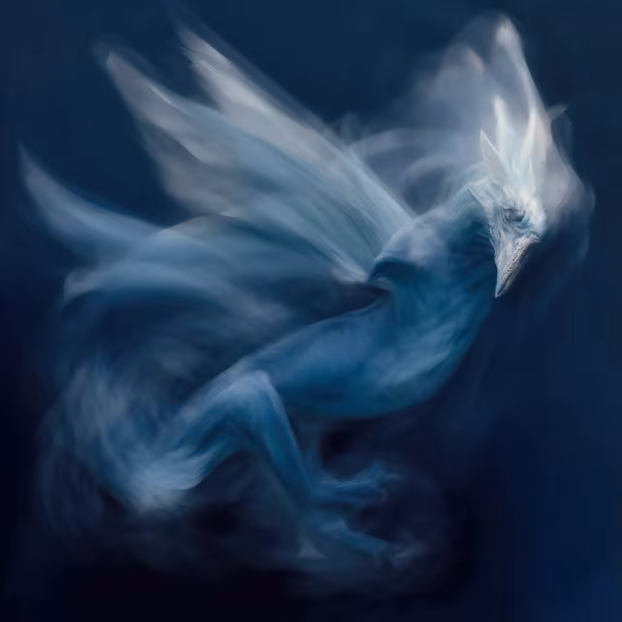 Draco