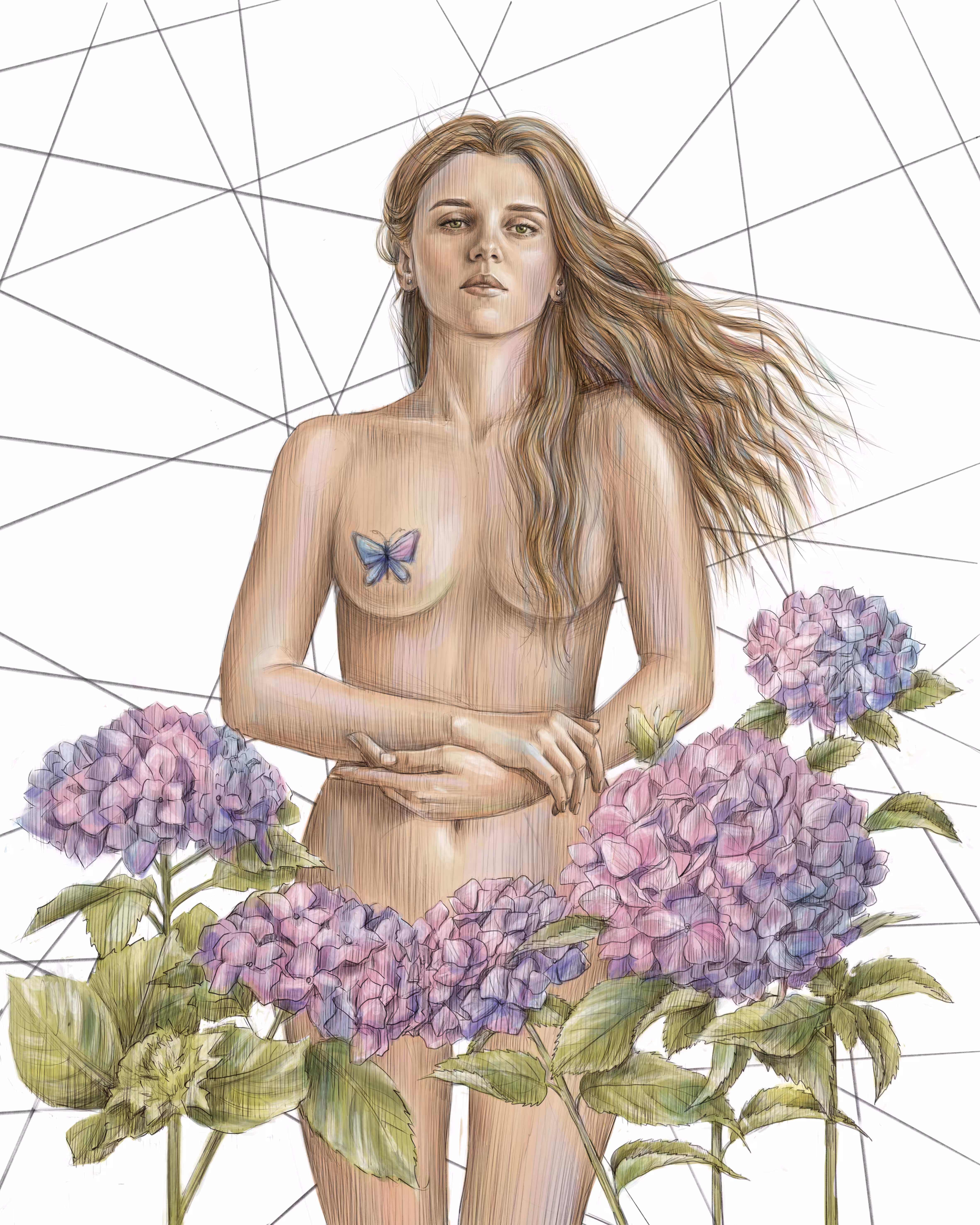 Hydrangea