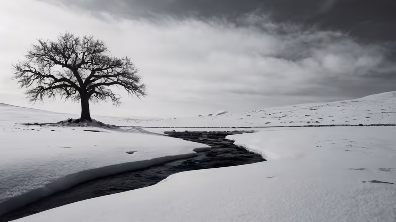 Silent winter