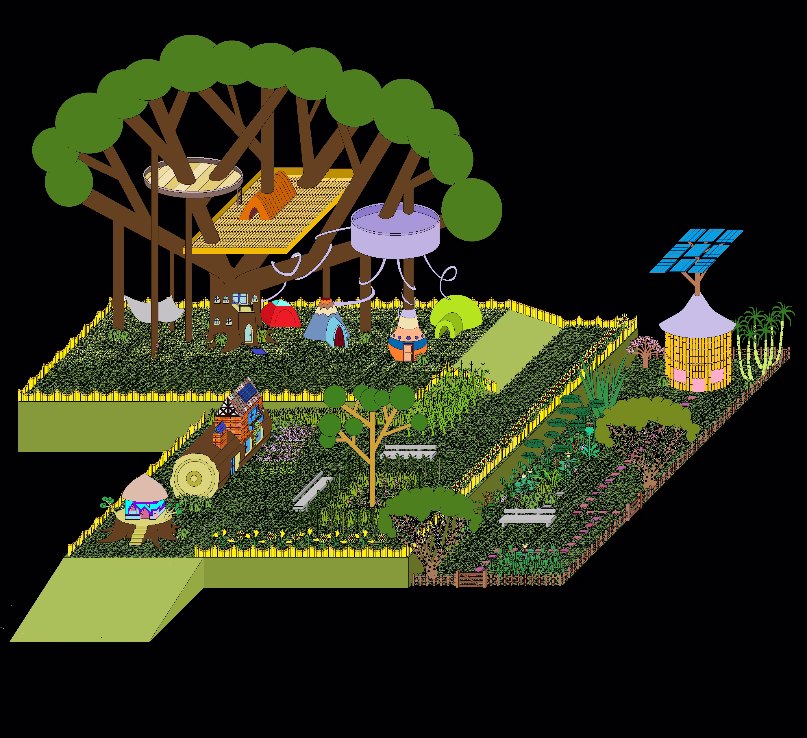 Ficus farm