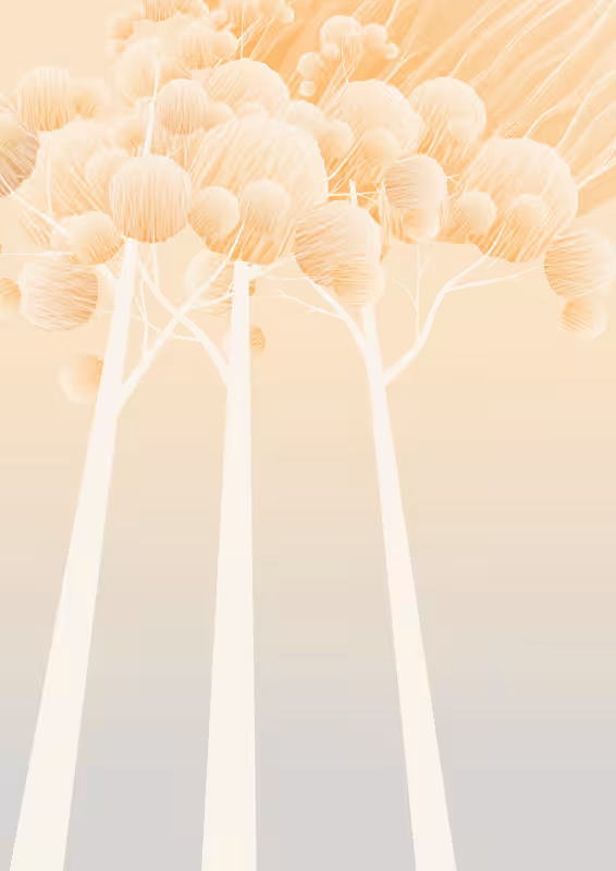 Enchanted #62