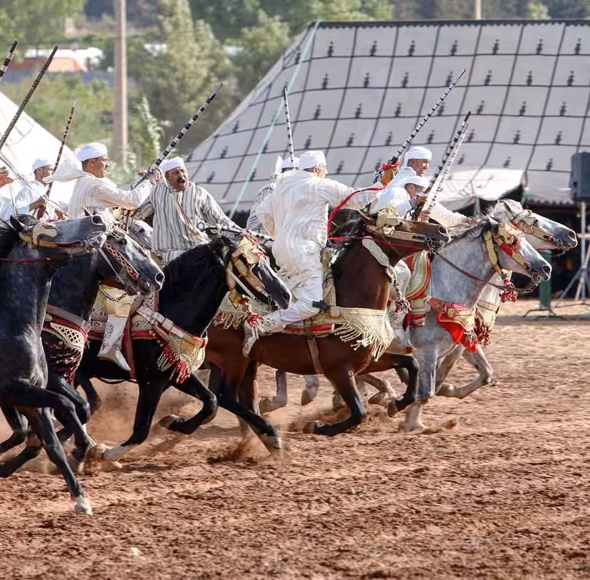 Tbourida, Moroccan horsemanship (2011)