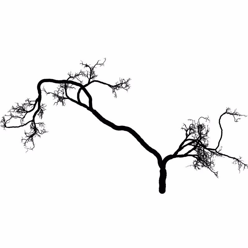 Tree 01 #74