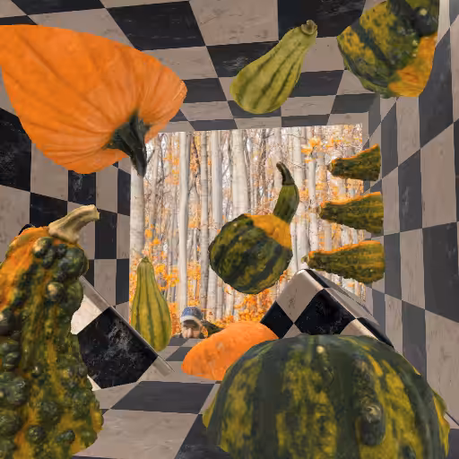DECORATIVE GOURD SEASON