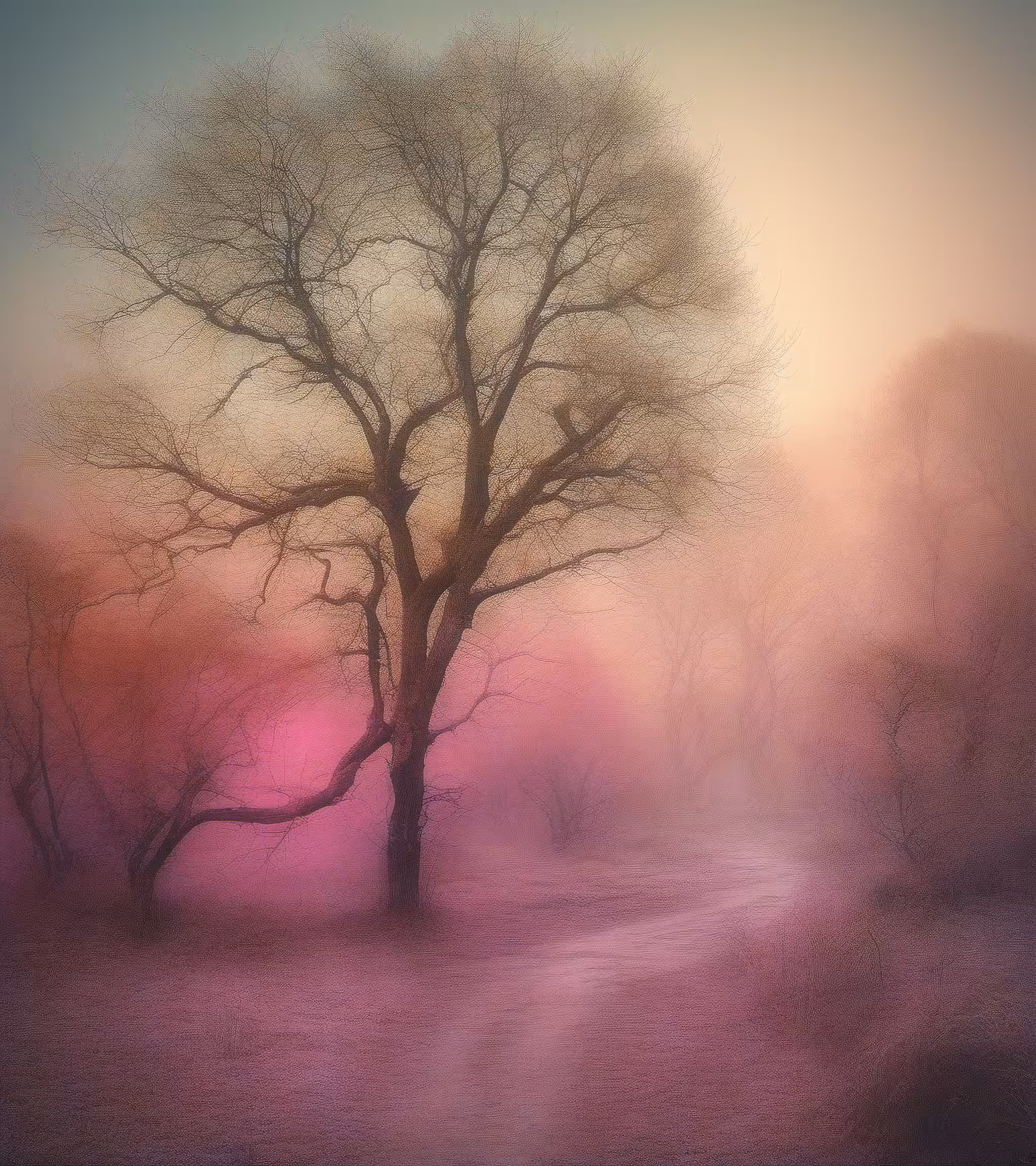 Tree Studies #29