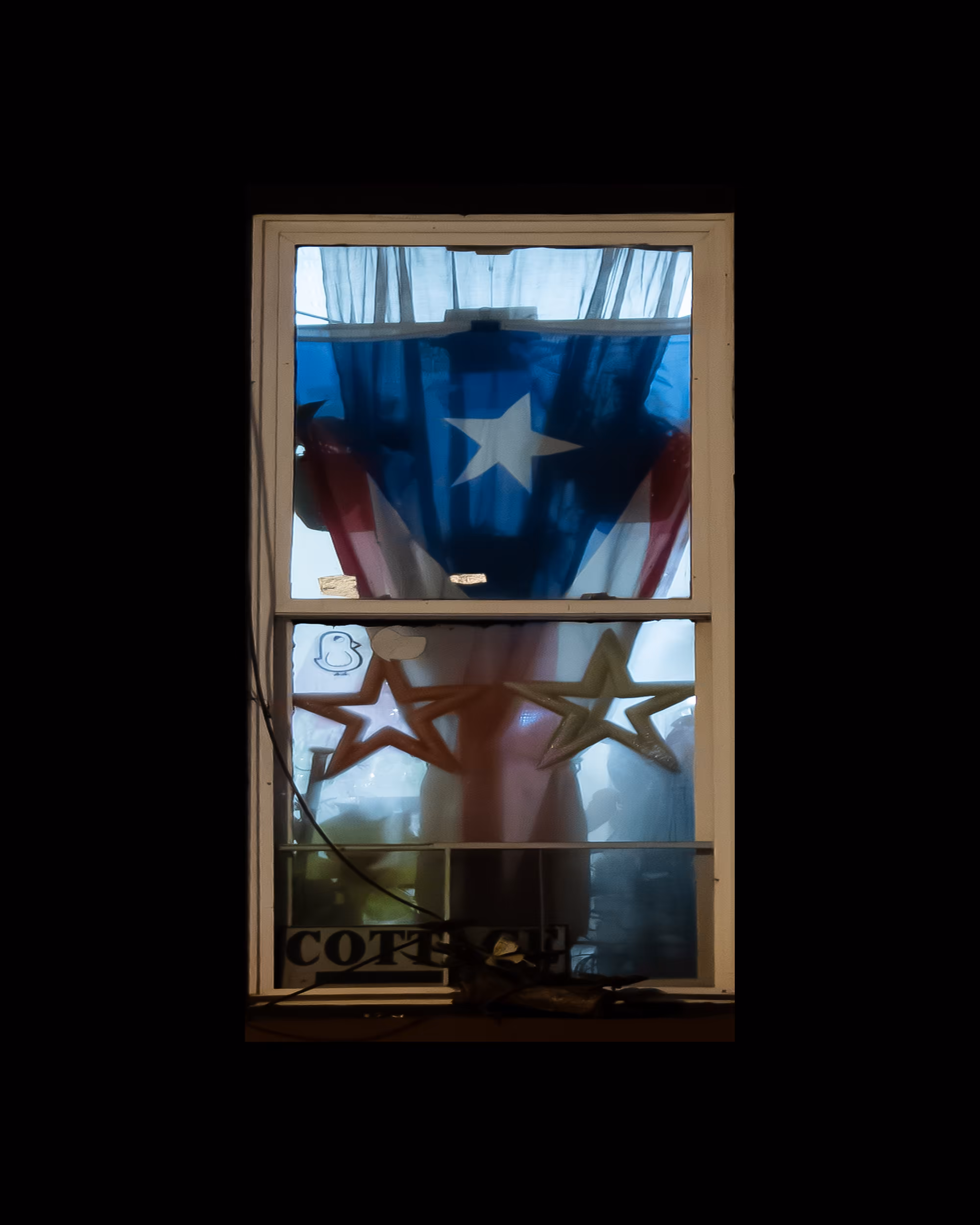 WINDOWS // NYC: WINDOW 431