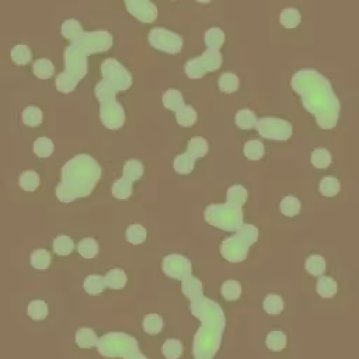 Instability