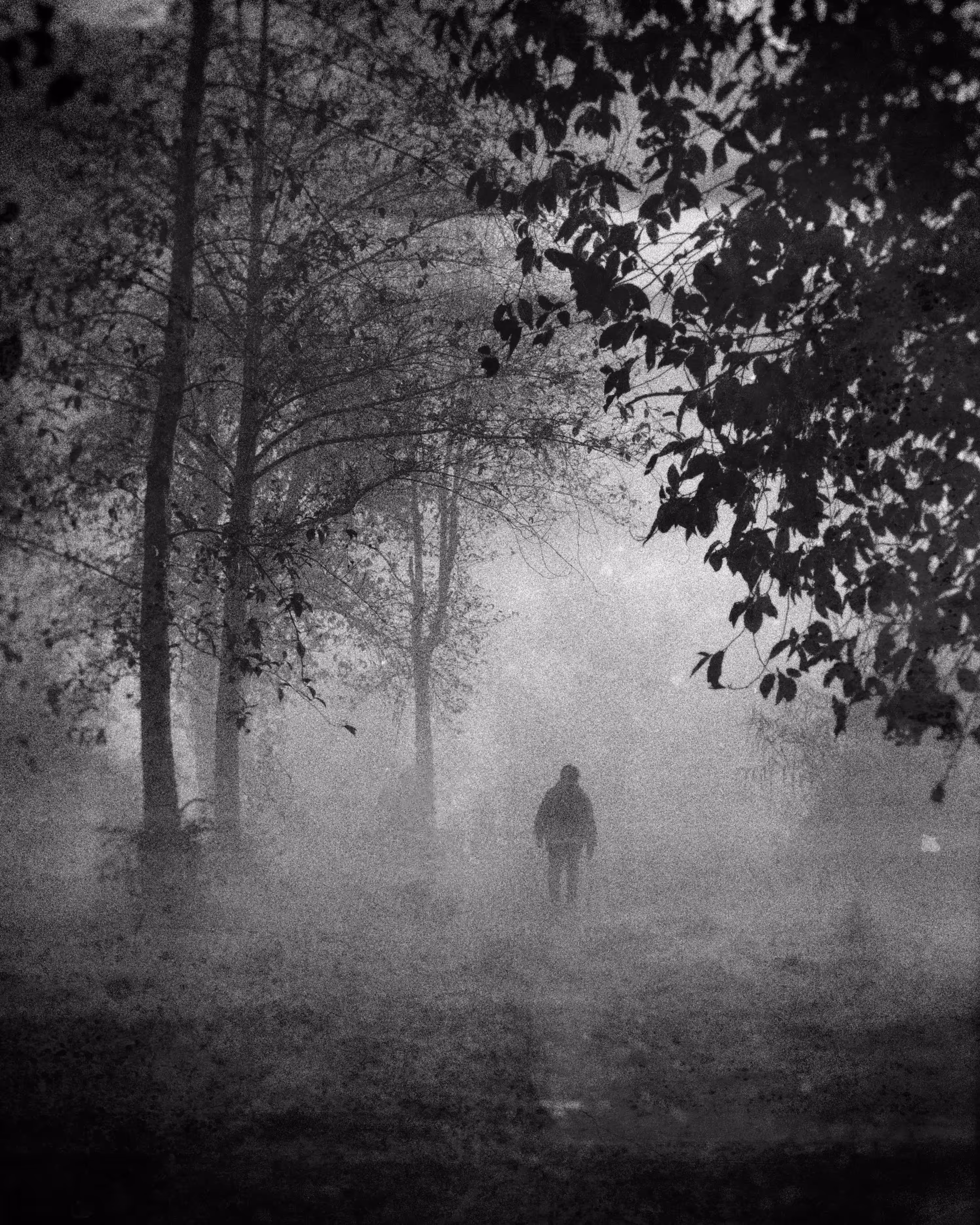 Into Unknown