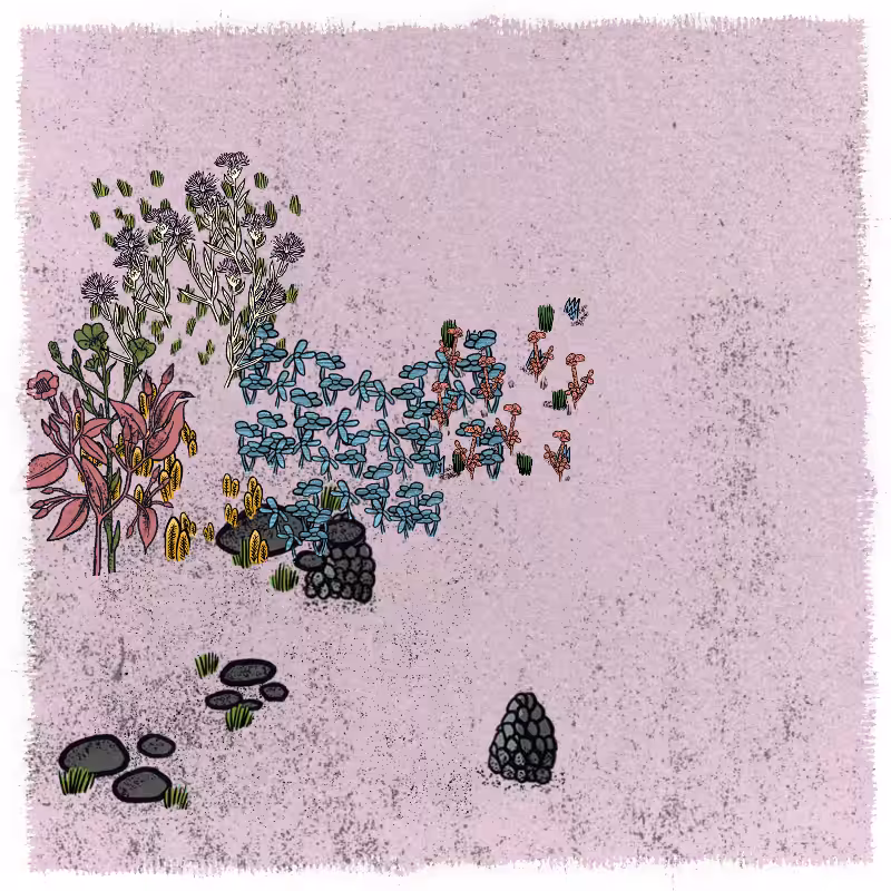Gardens  #151