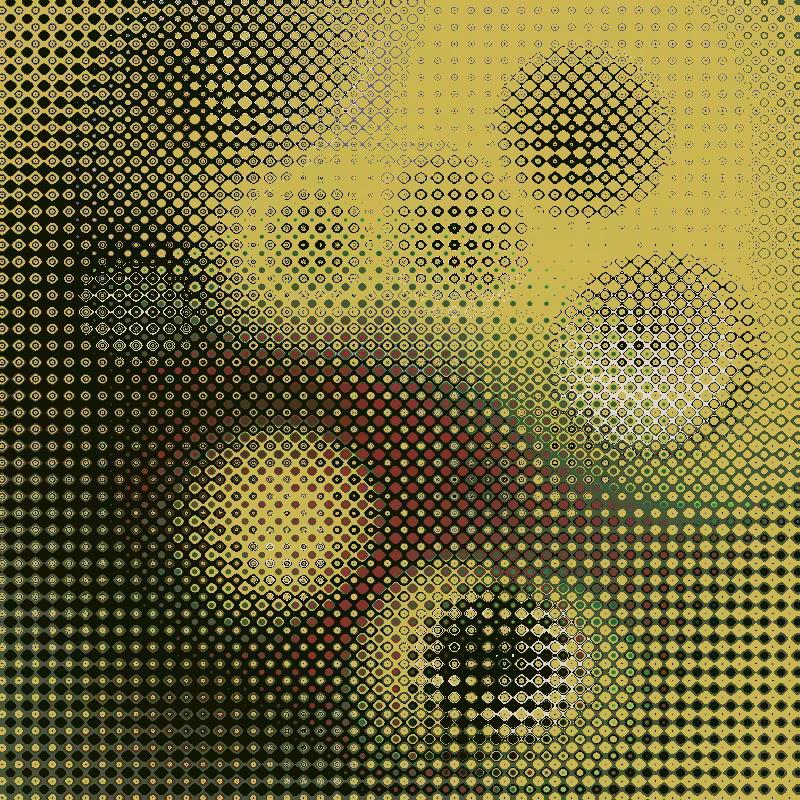 Focus #117