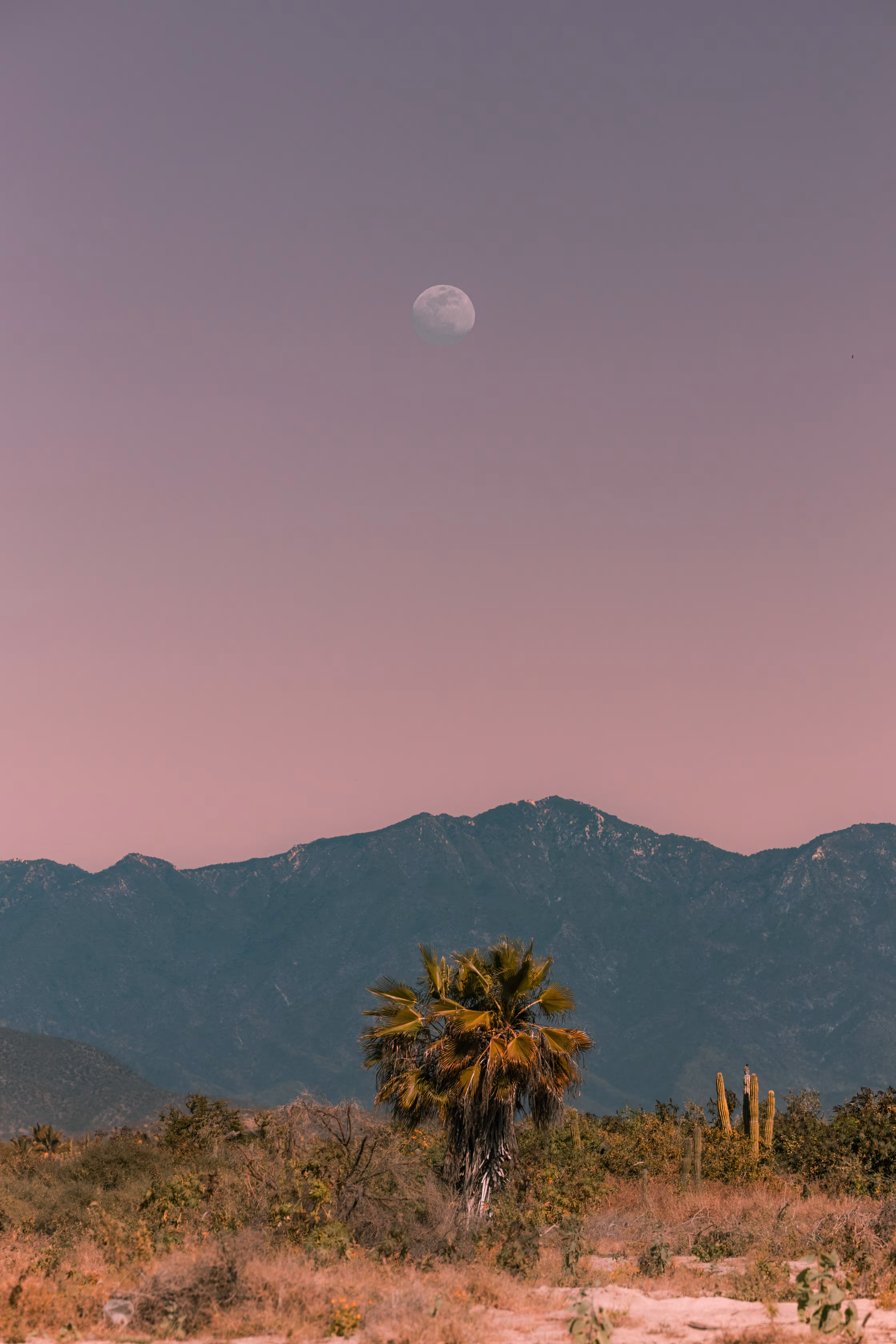 Aligned Now