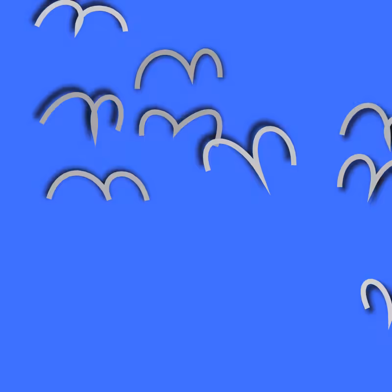 Birds #4