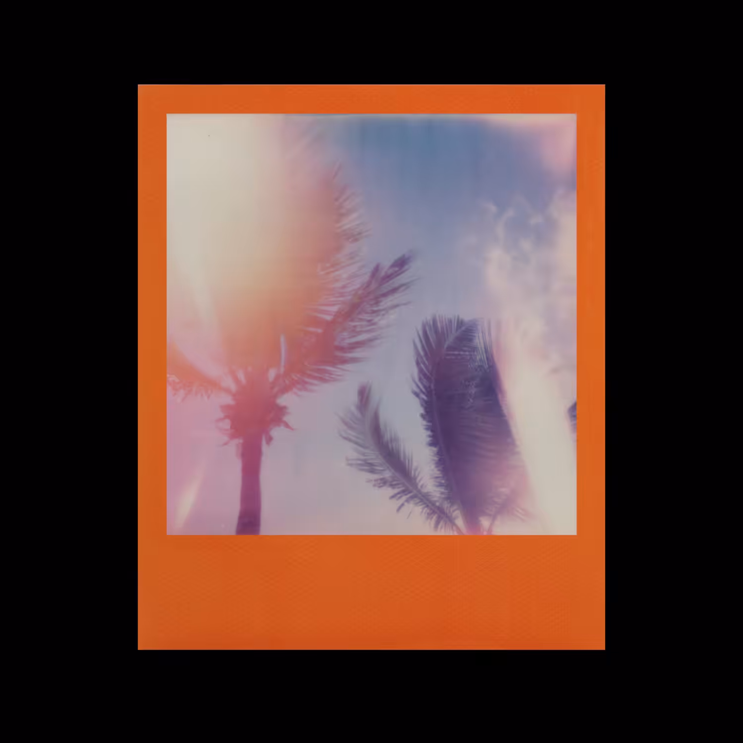 #04 'Palms'
