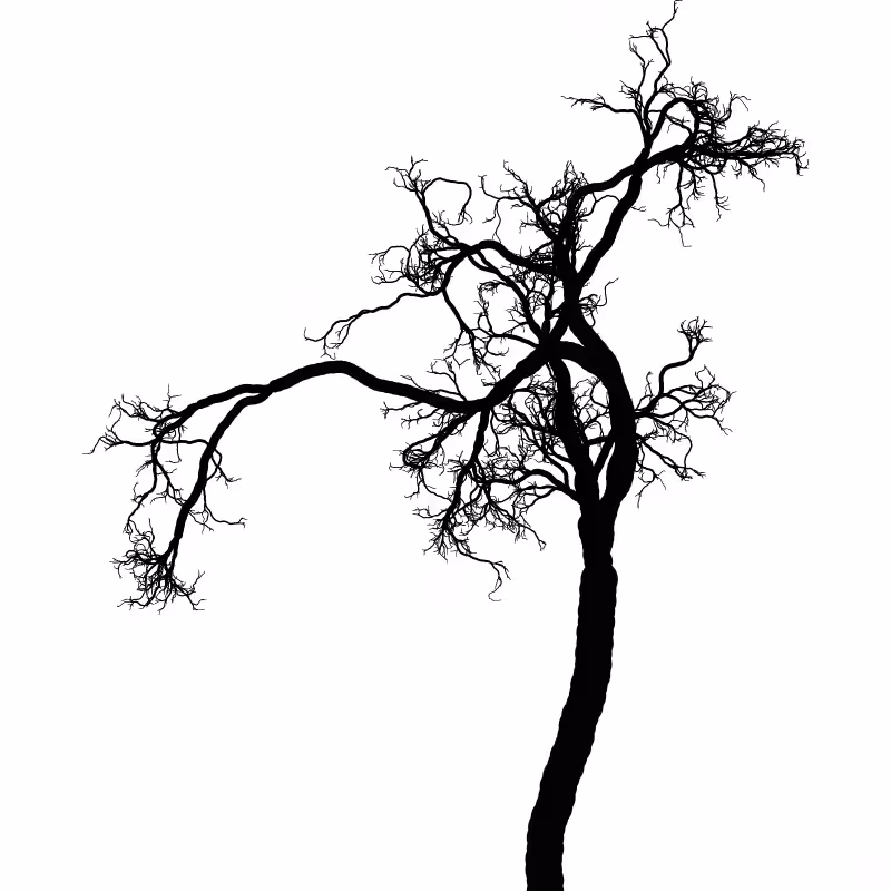 Tree 01 #85
