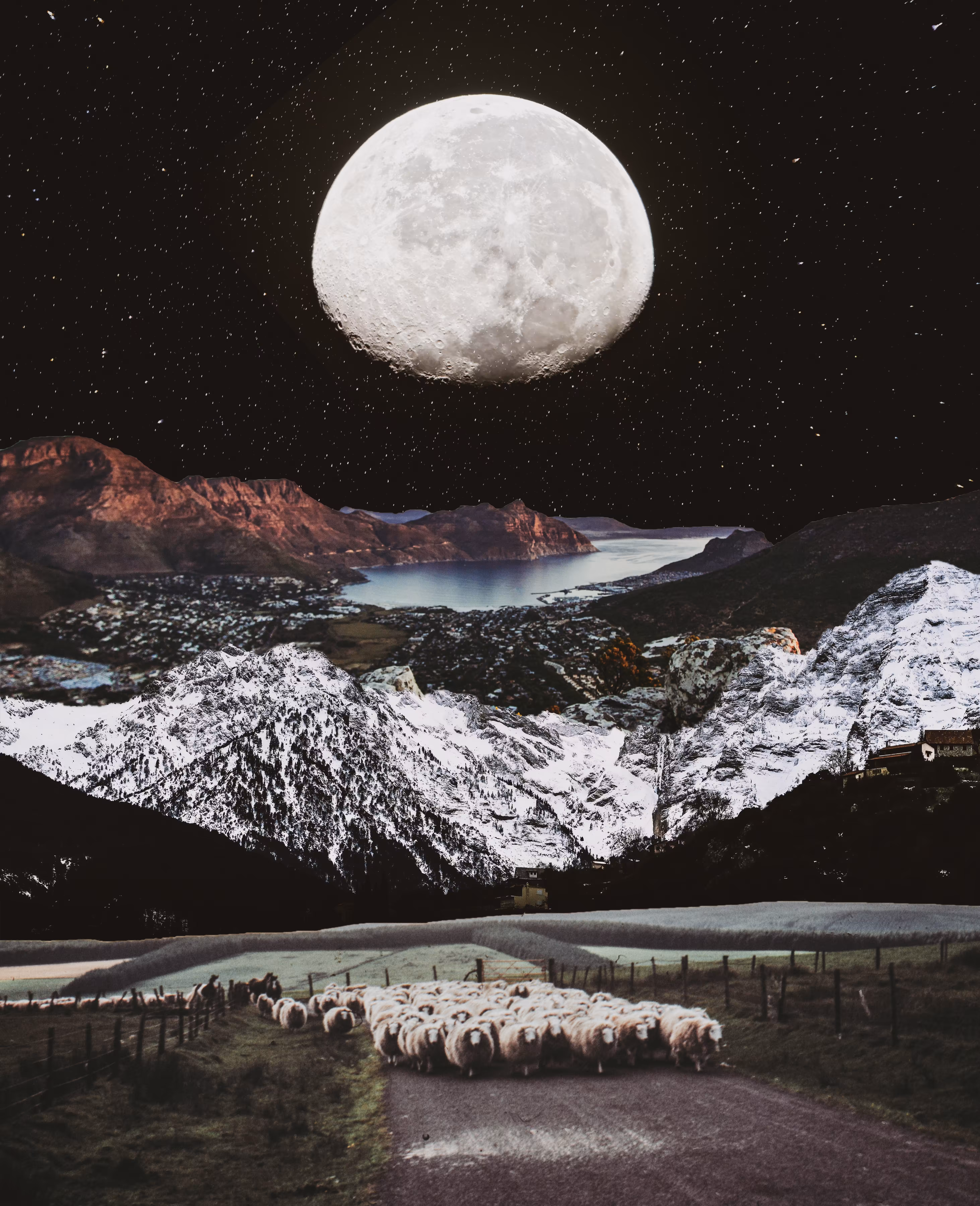 Lift Me Up To The Stars We Are Going Home, 2019