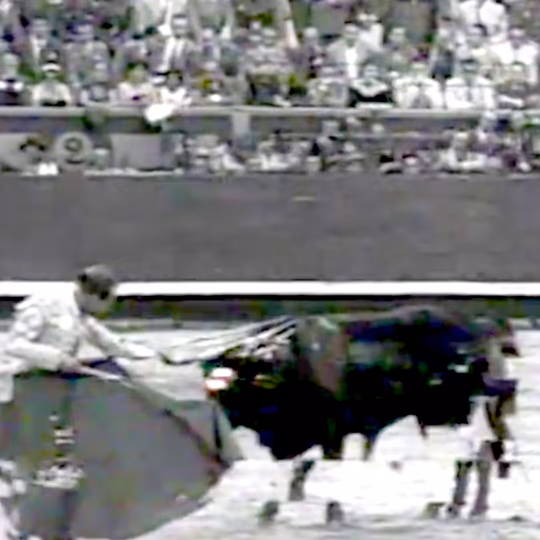 Malaventura's Tauromaquia 08