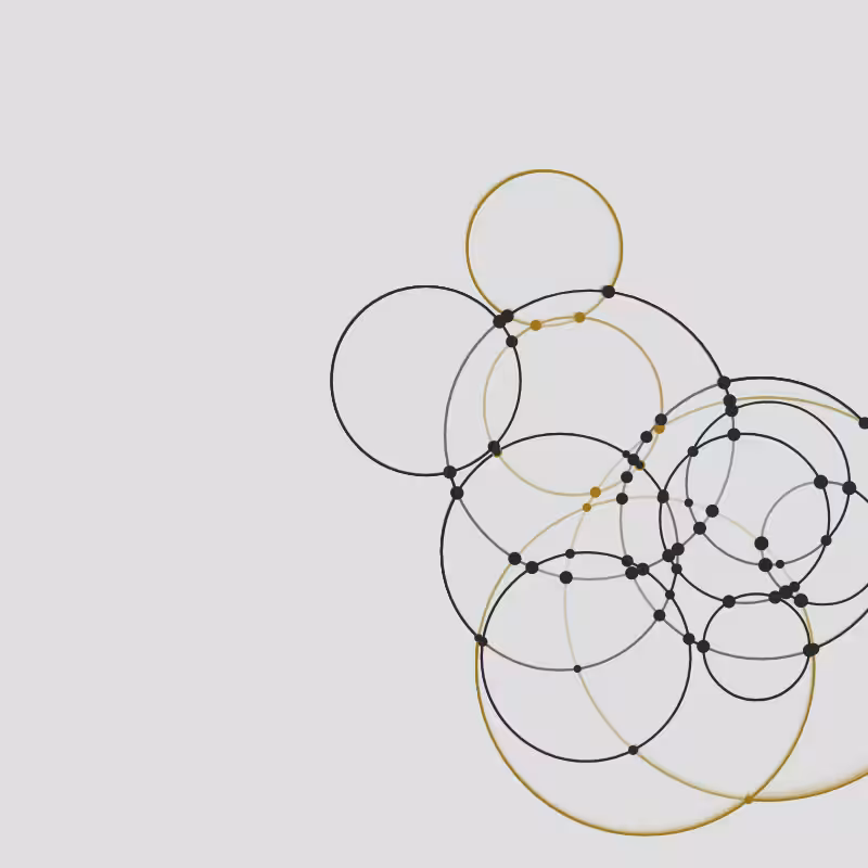Hidden Order #24