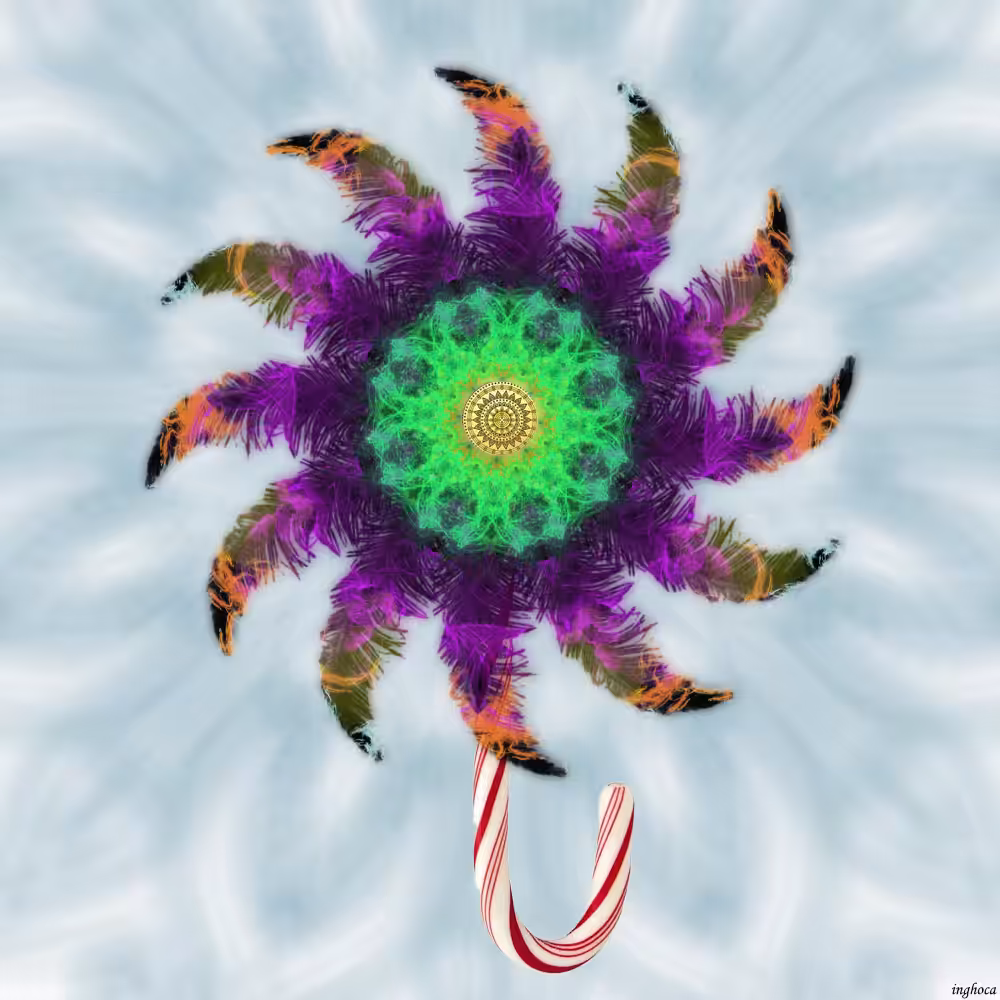 Pinwheel 73 Feather