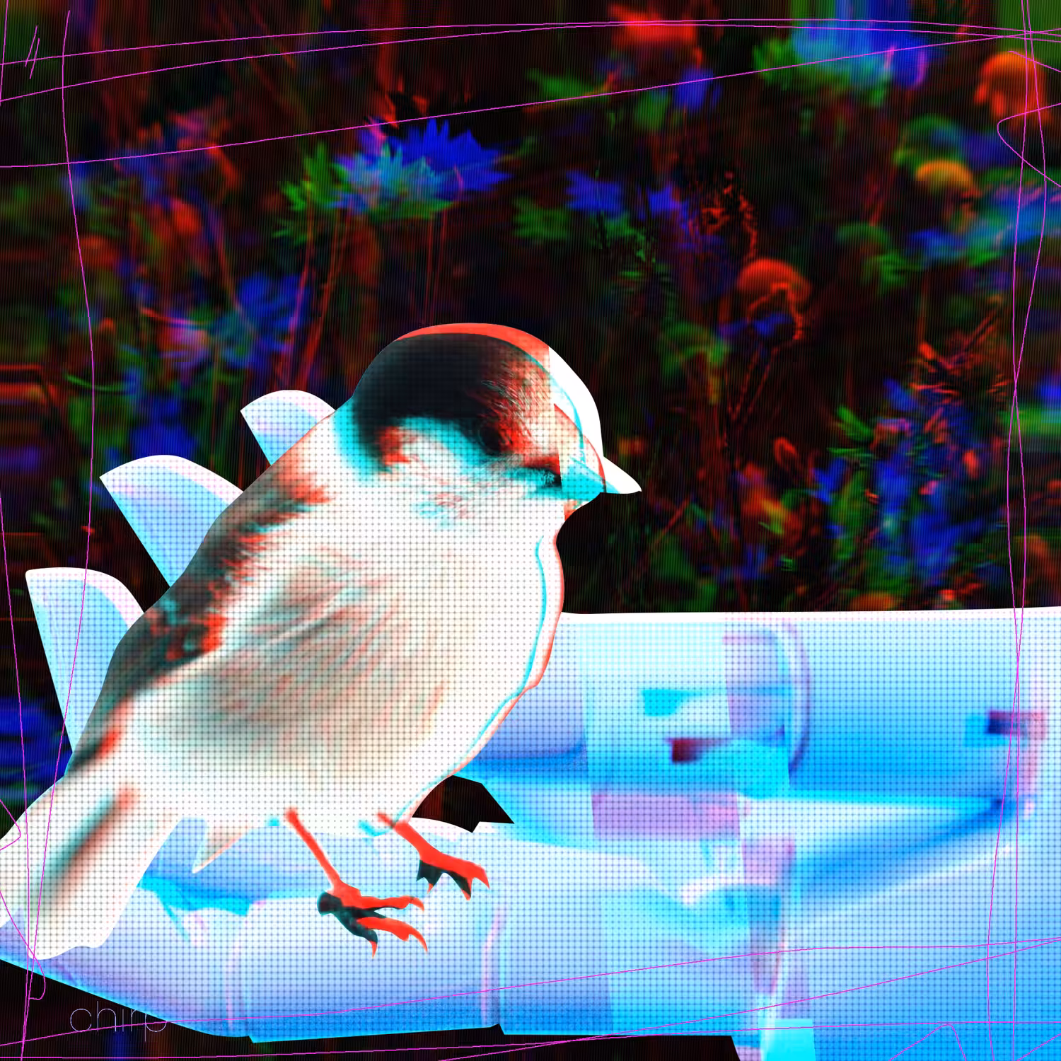 C H I R P ! // Robot hand and birds