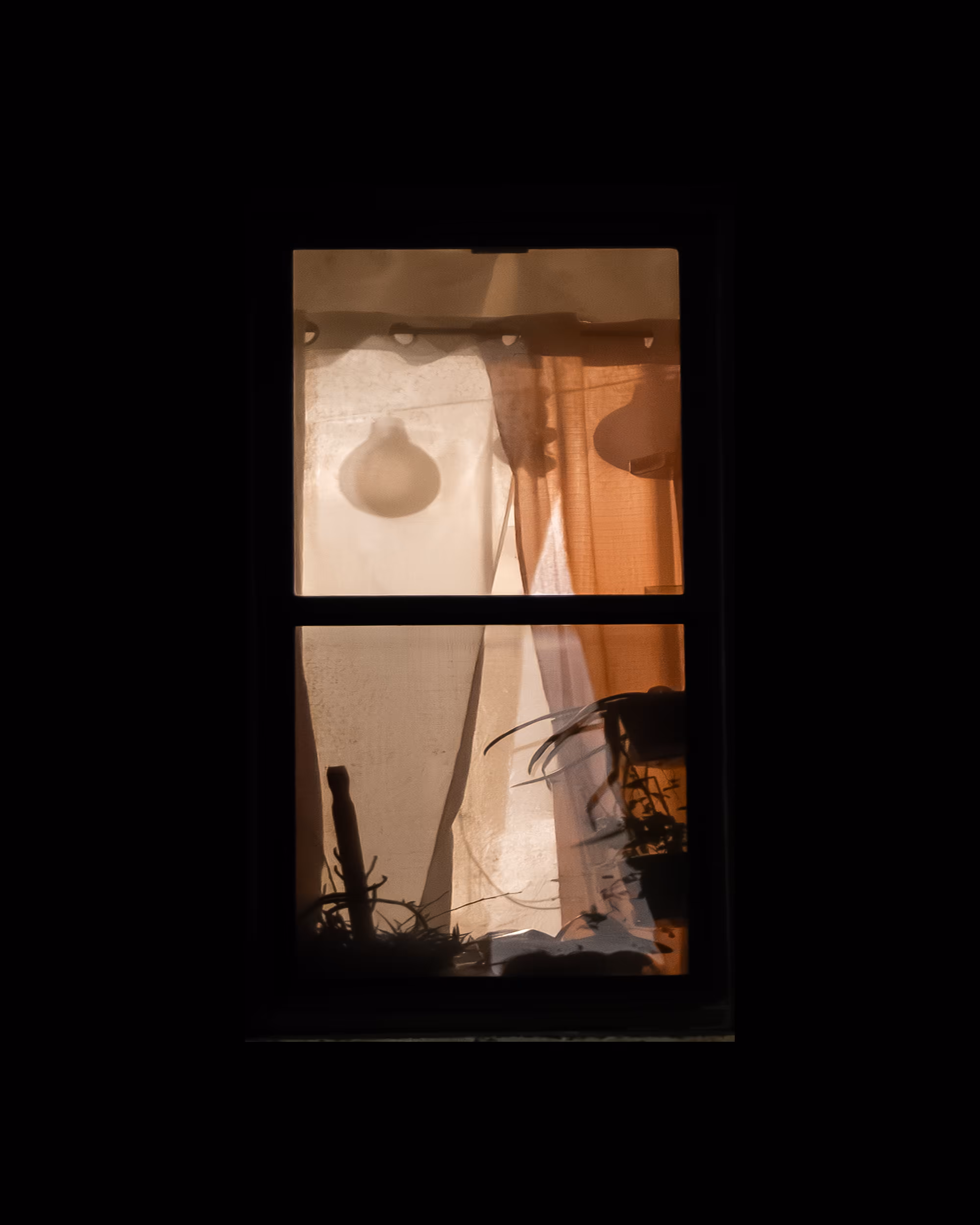 WINDOWS // NYC: WINDOW 31