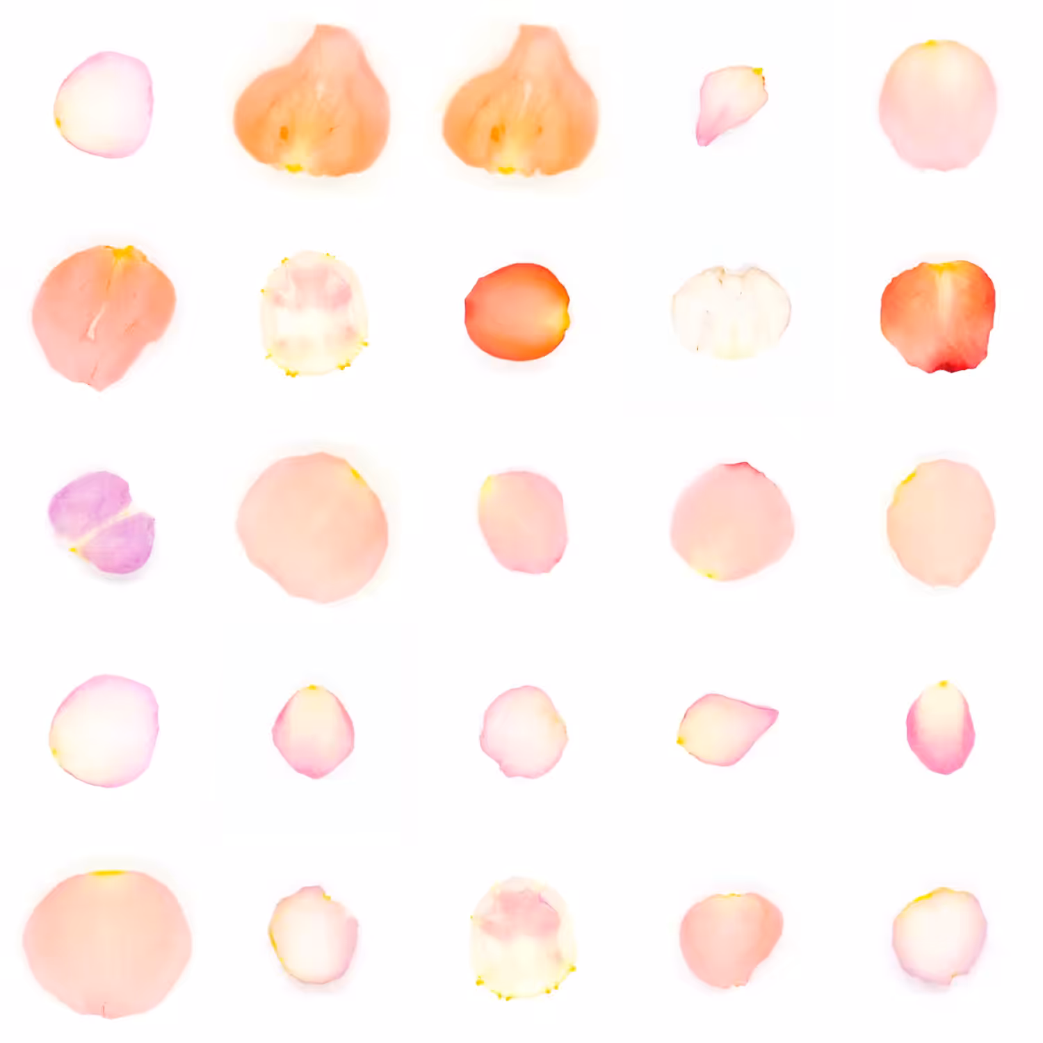 Infinite Petals 5x5#21147