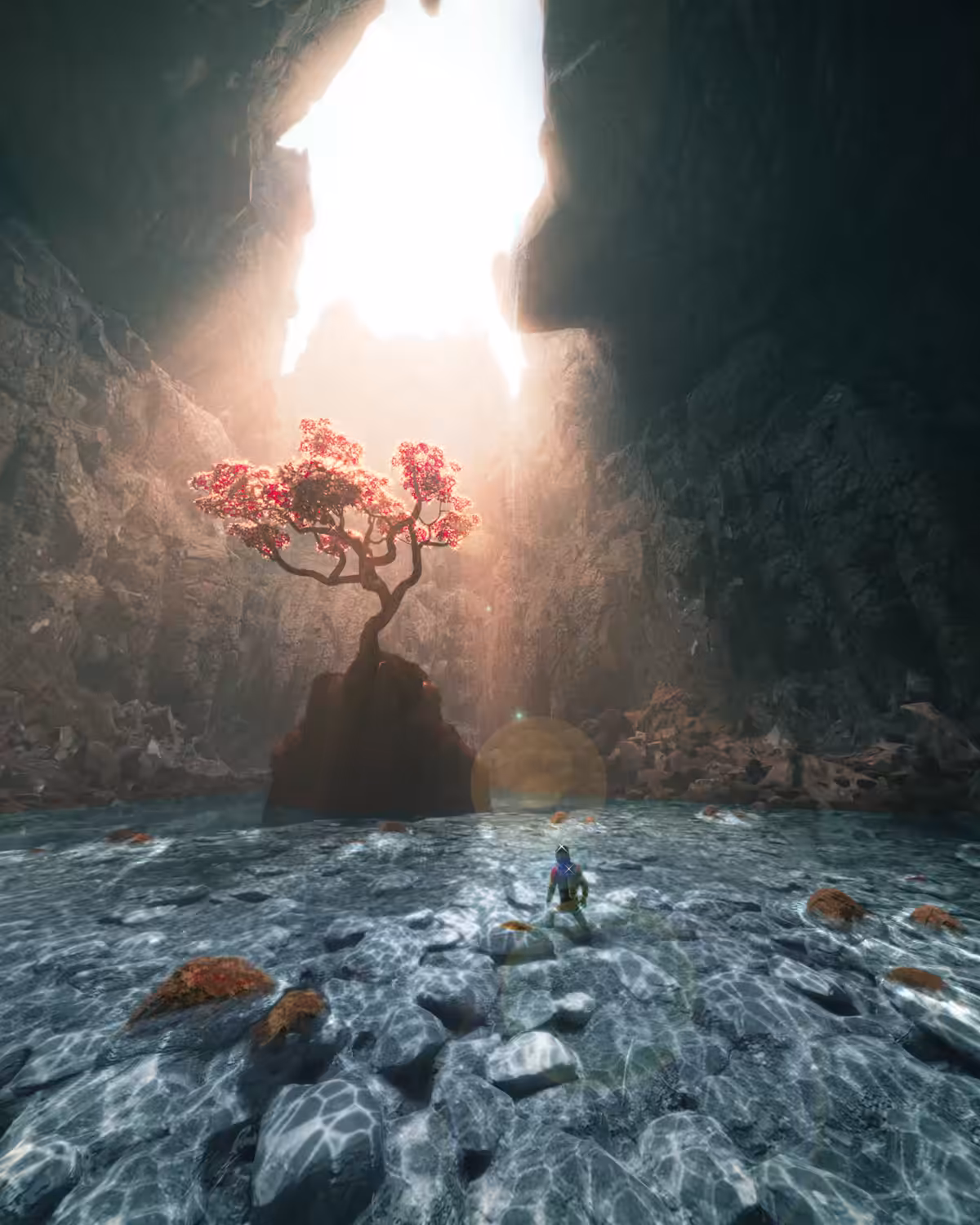 La Grotte de la Vie