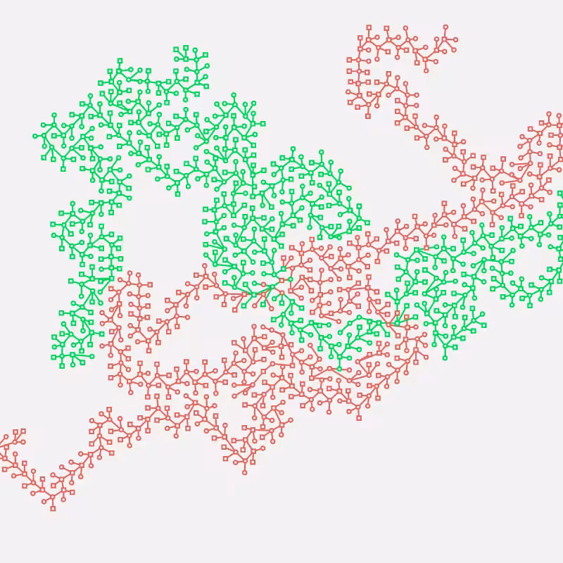 Networks #66