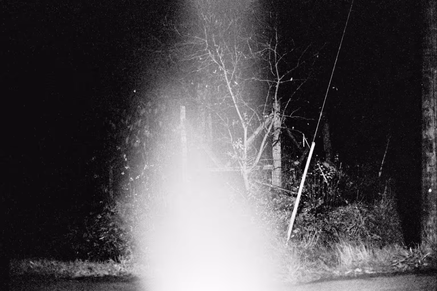 Light Hide
