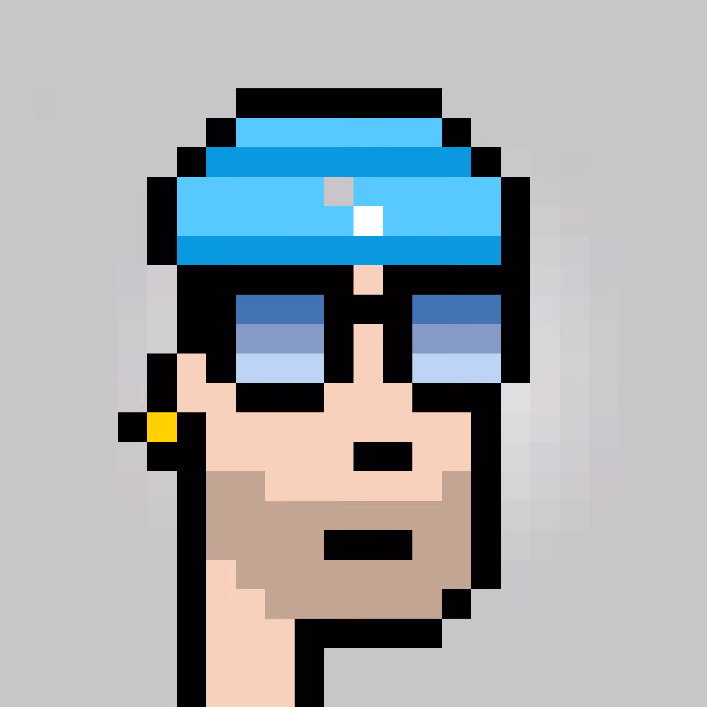 Unofficial Punks V2 #1416