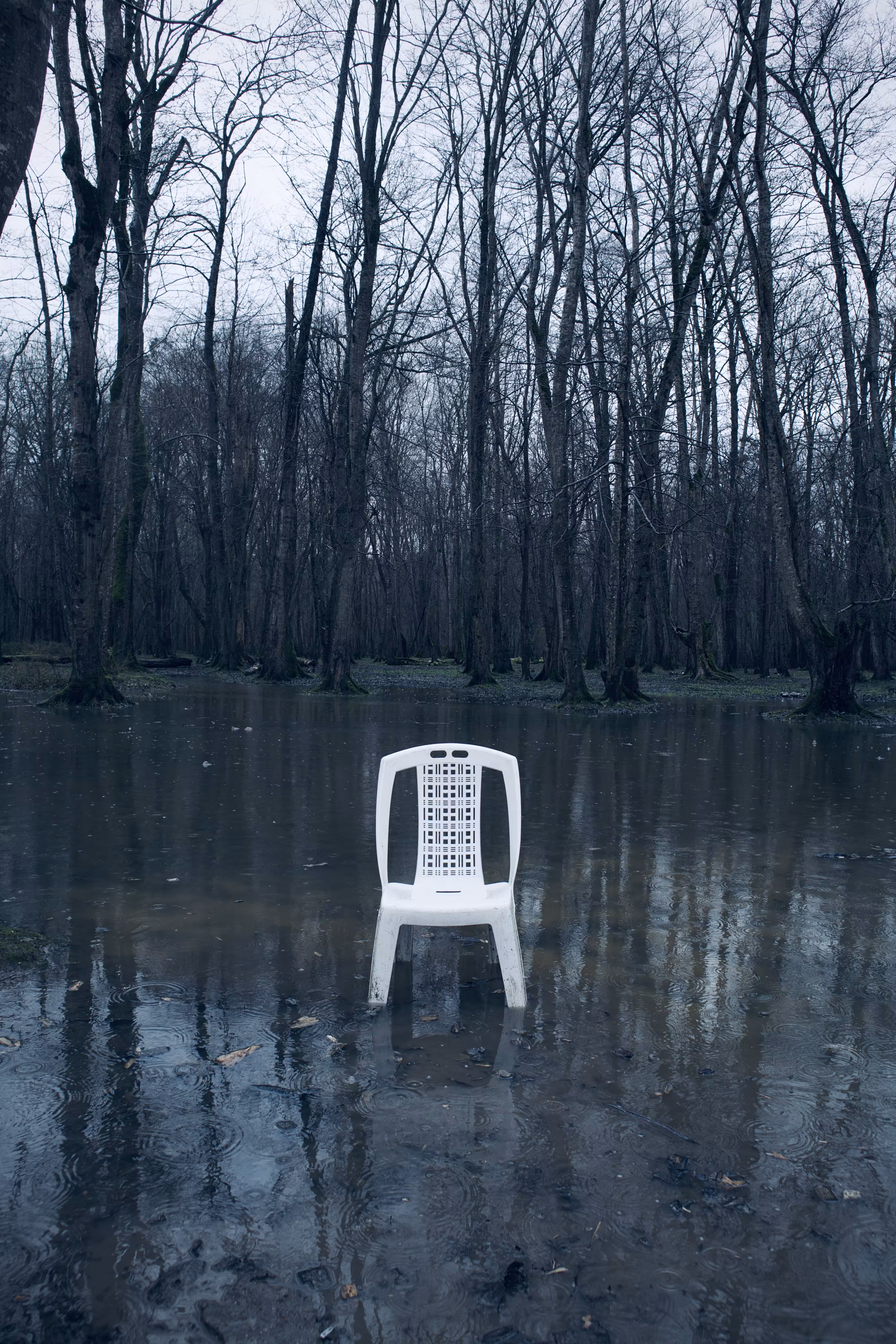 Soul seeking  