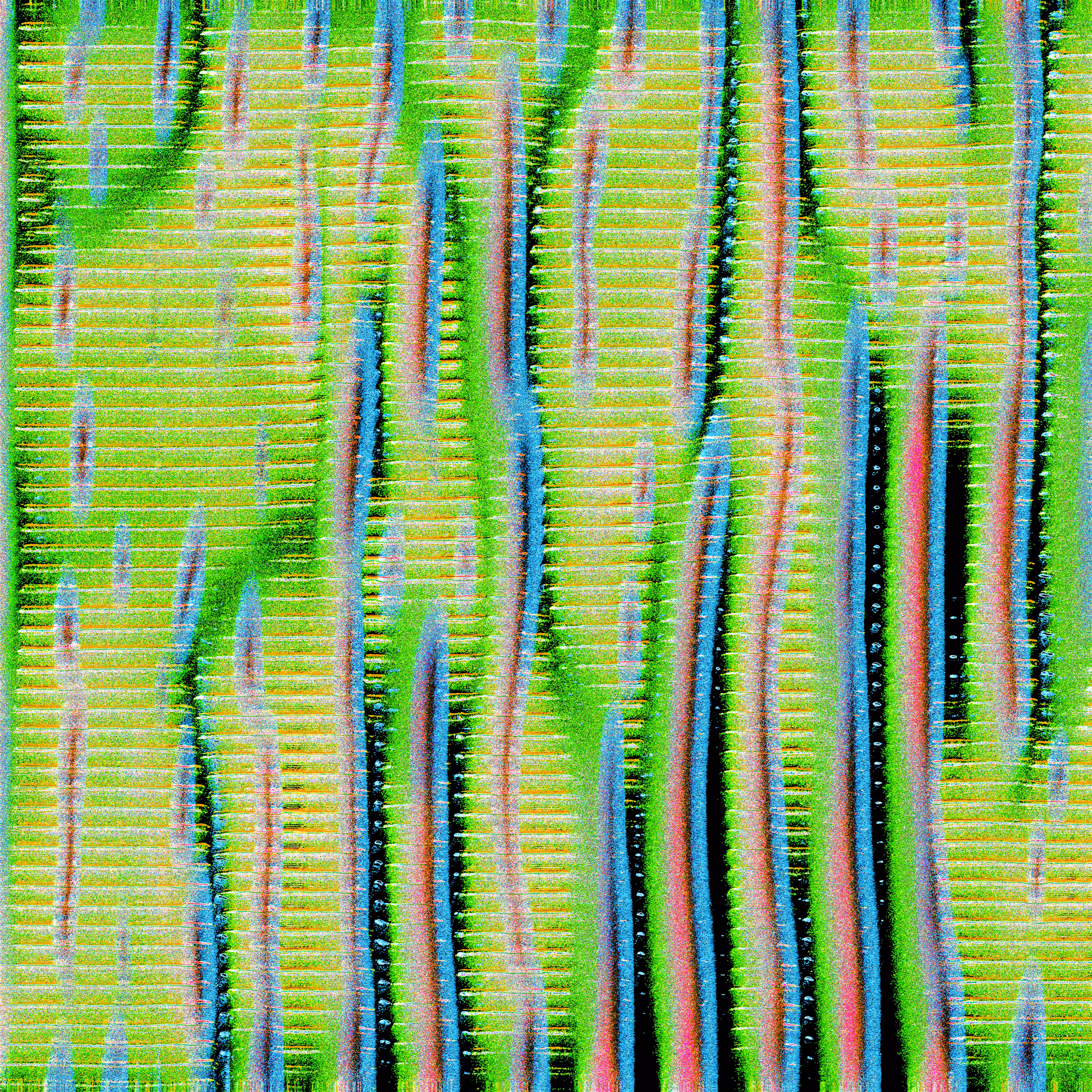 Poplar Stand Weave