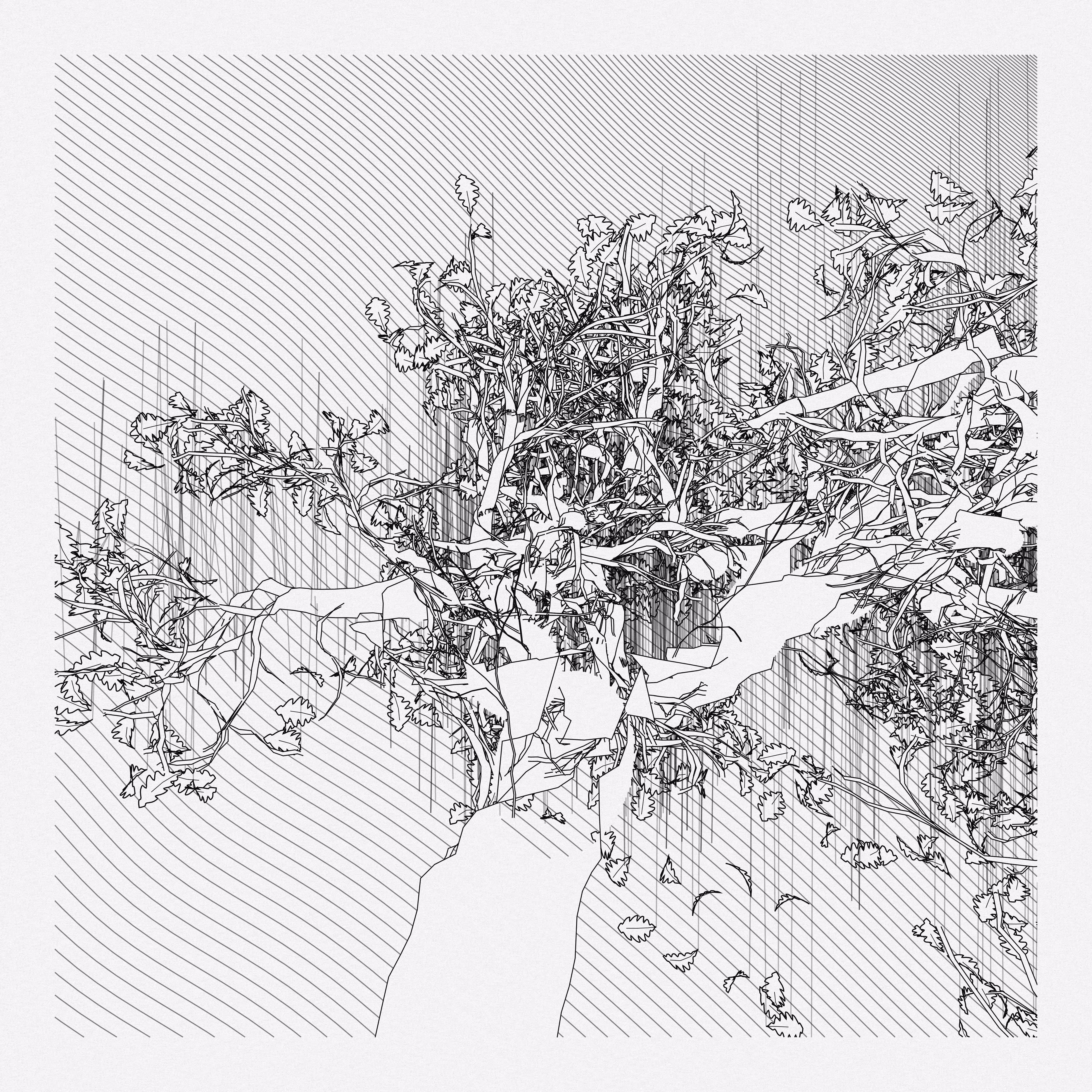 A Bugged Forest #111