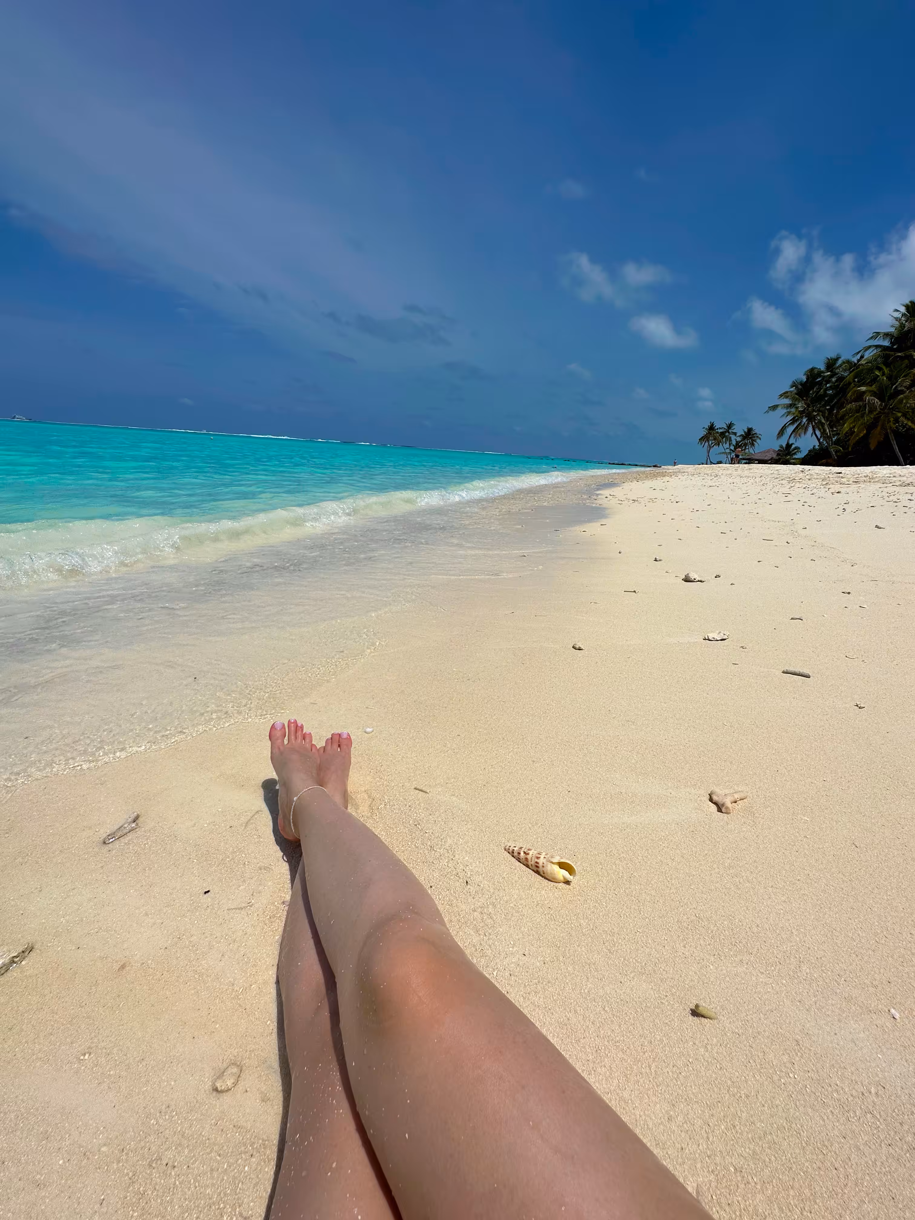 Shore of dreams