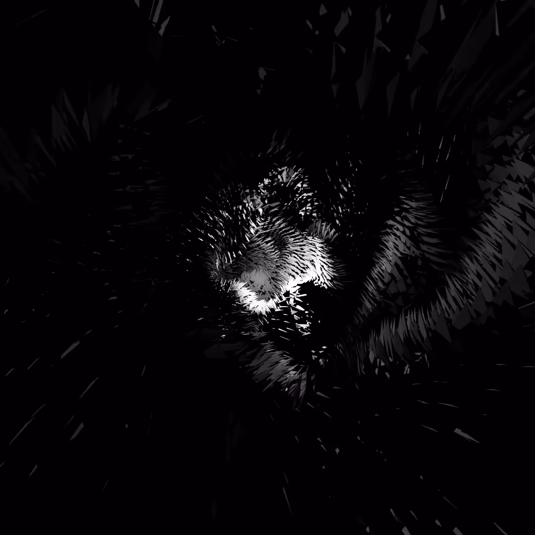 Tunnel 02