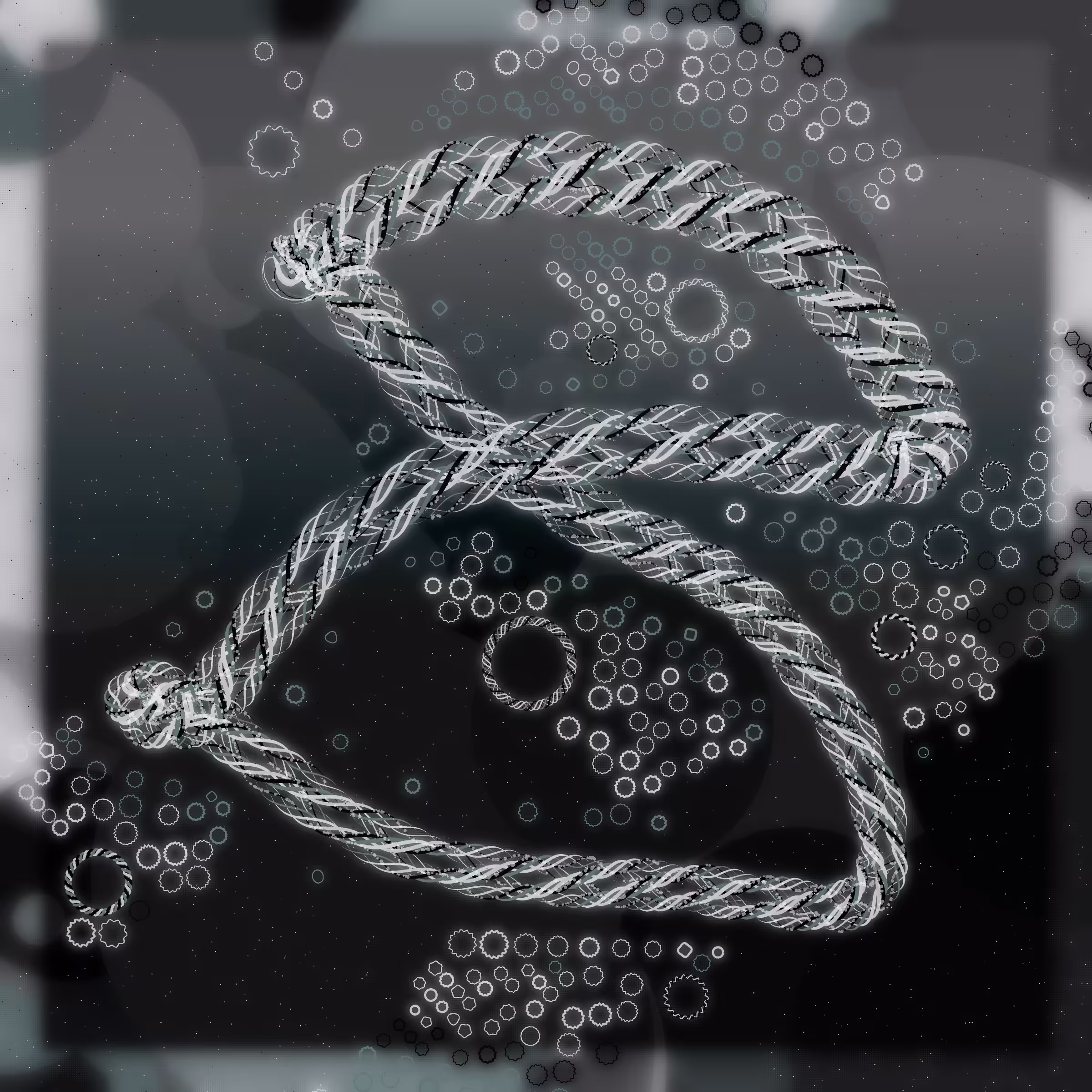 Friendship Bracelets #20564