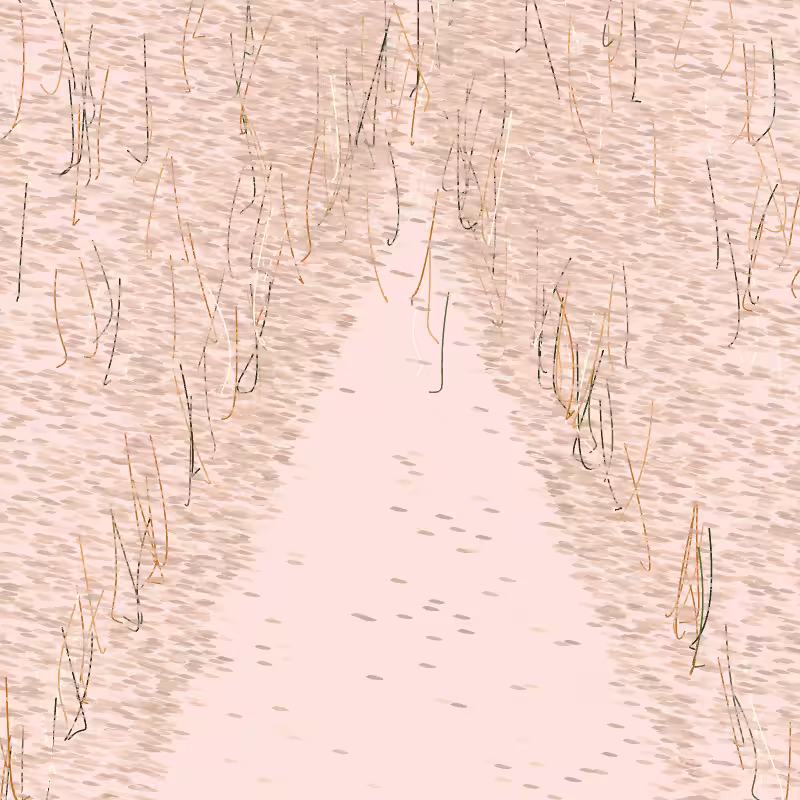 Forest path #5