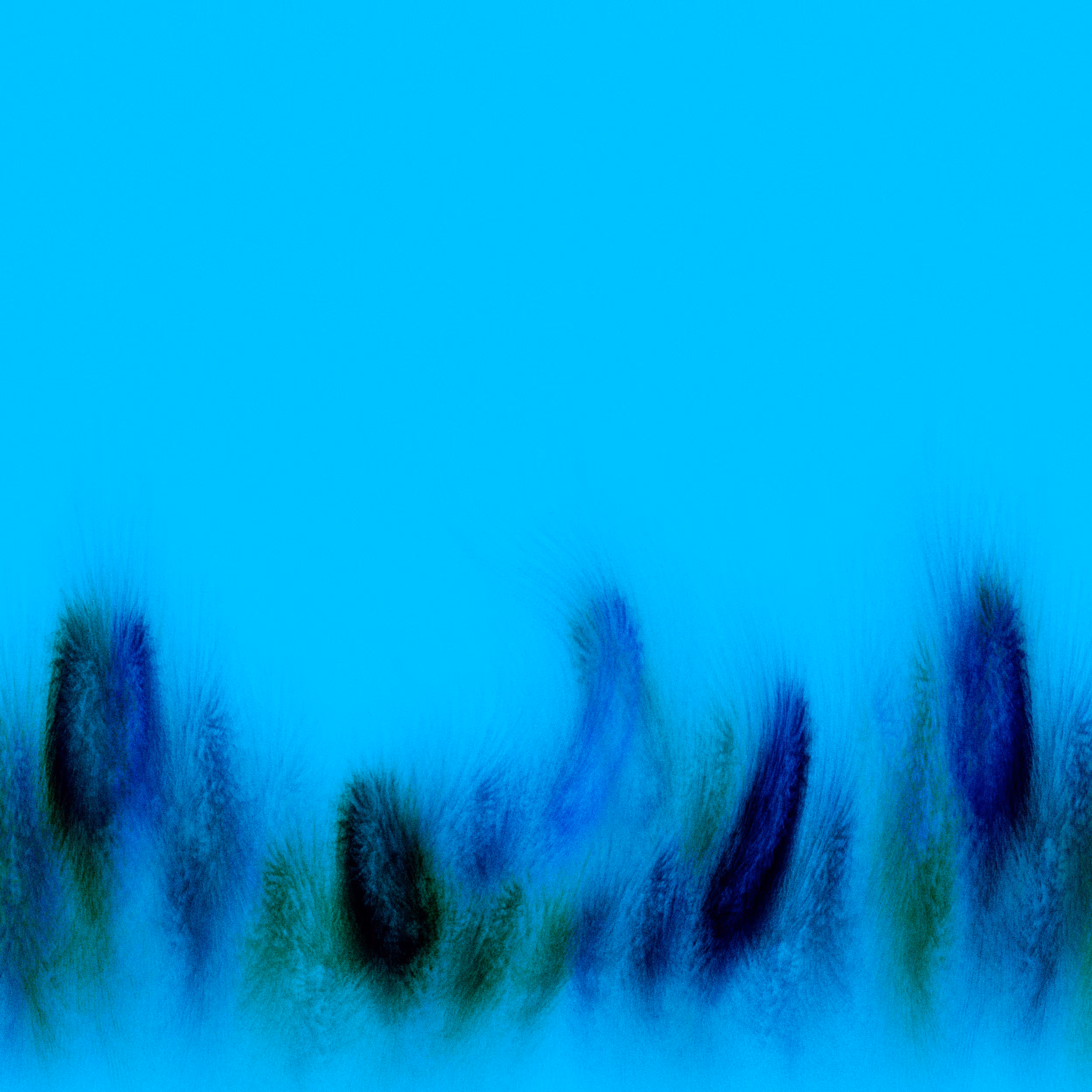From ESËN: Wheat field at down