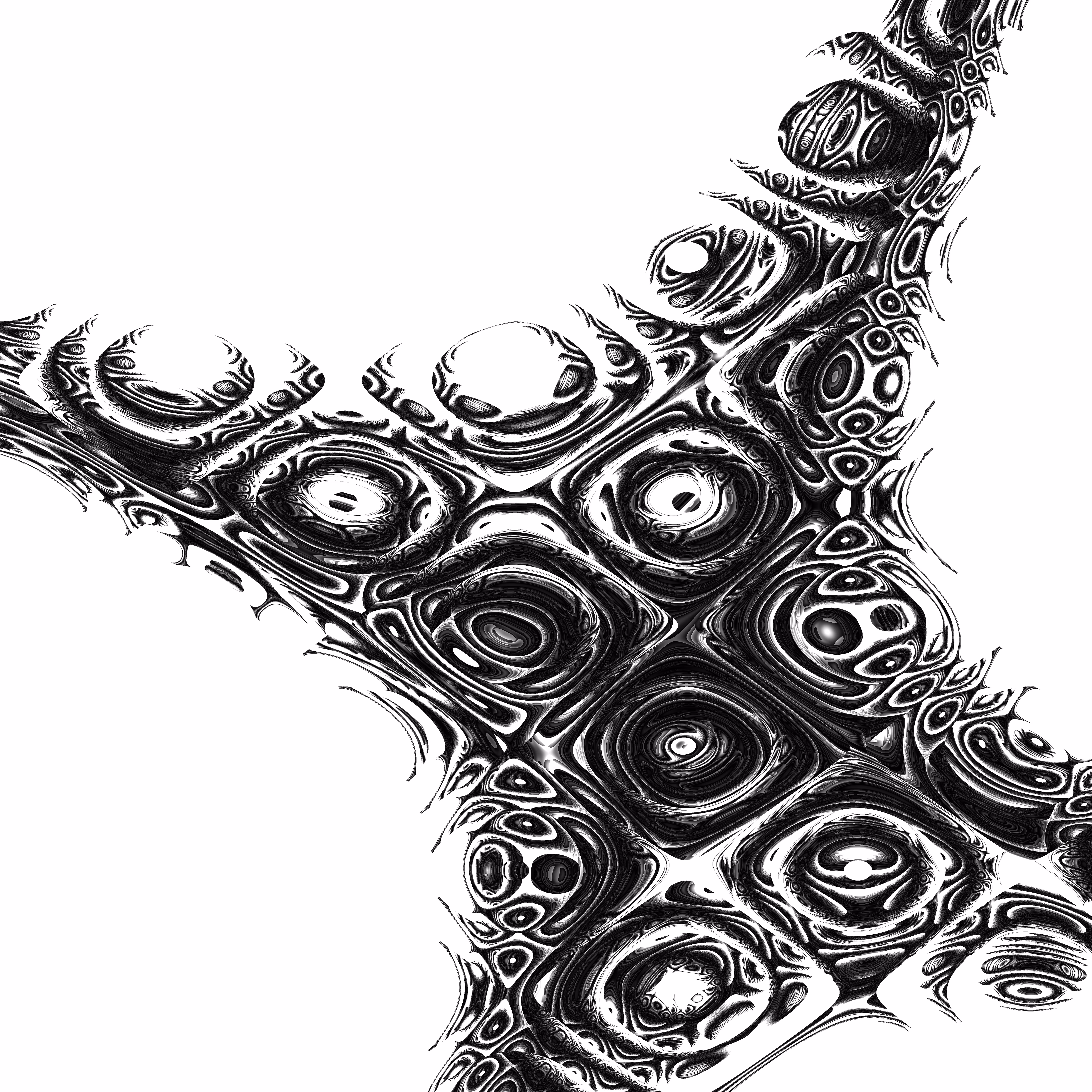 The dragon