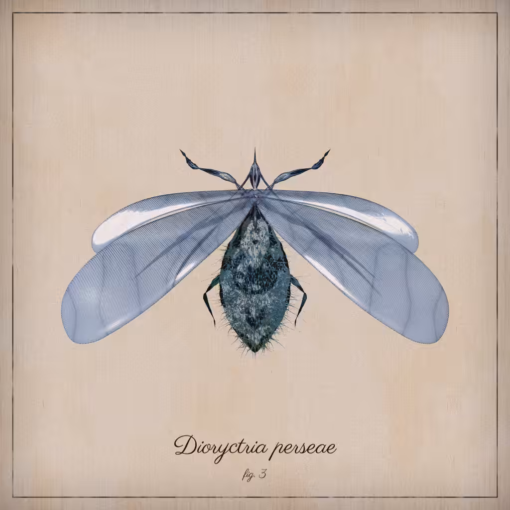 ProcGen Entomology #128