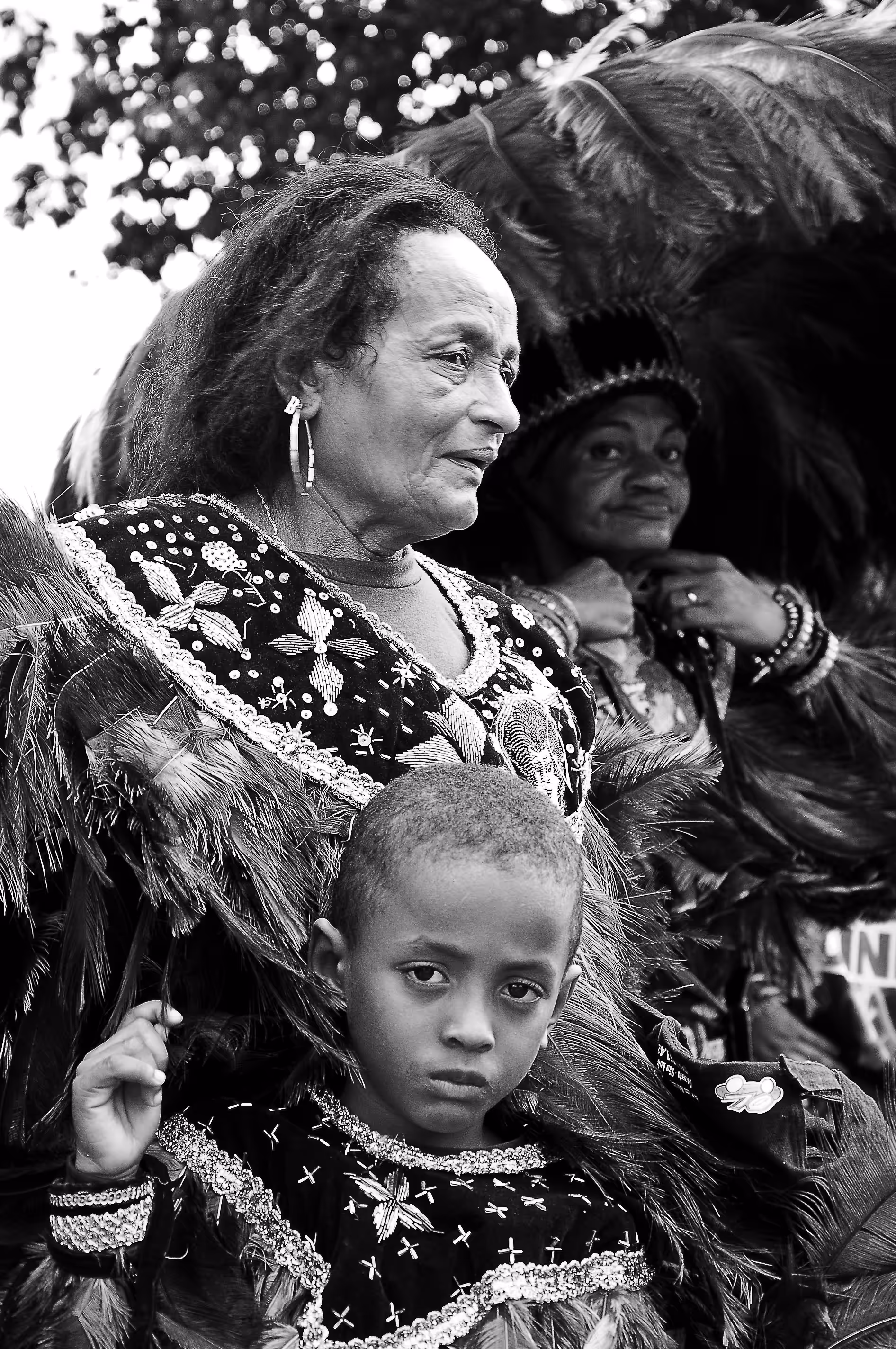 Guardians of the Culture