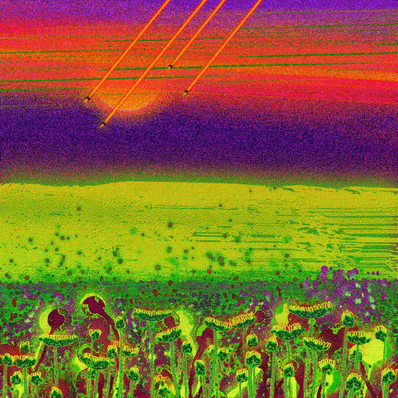 Onablo's Meadow #81