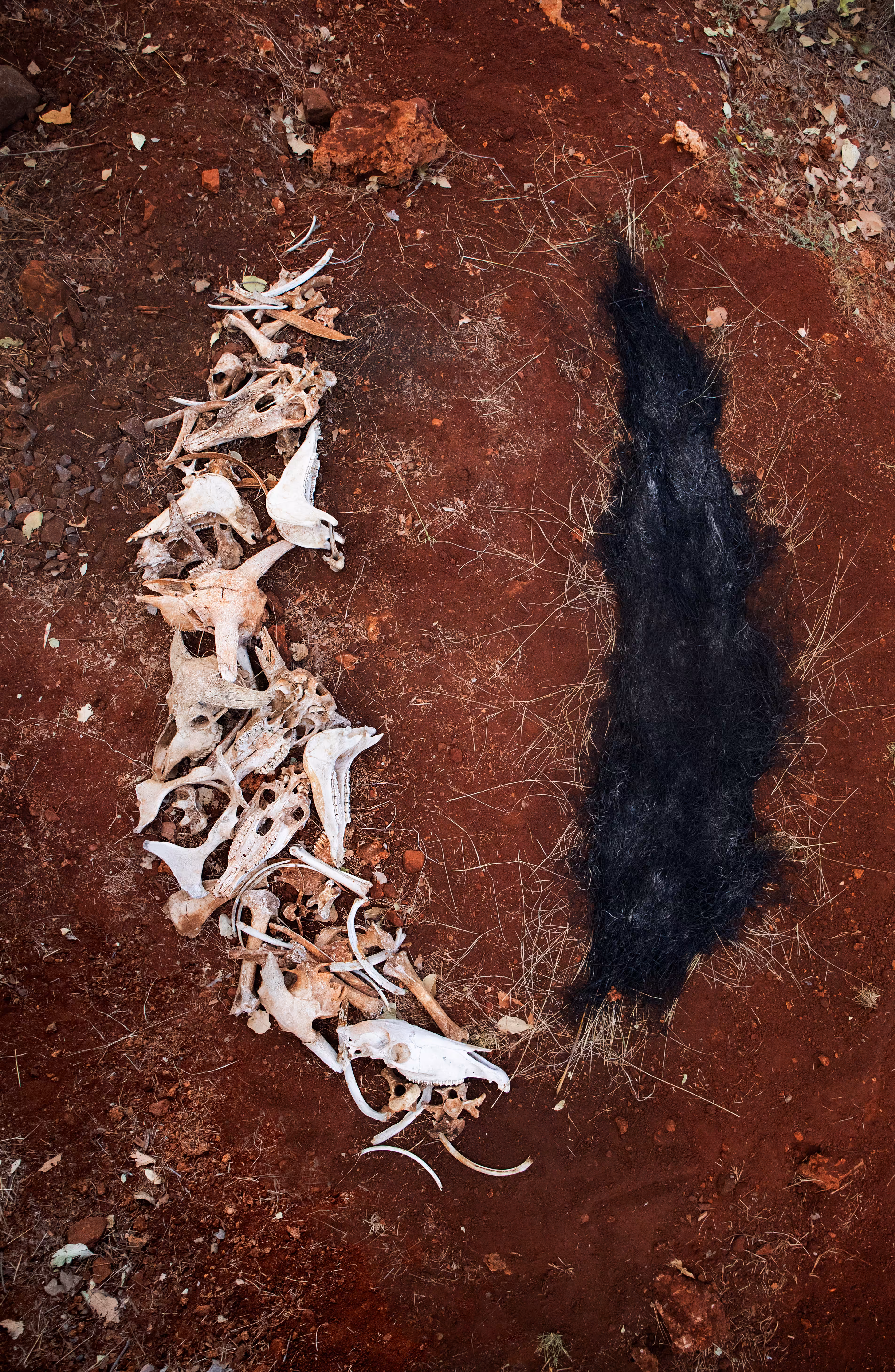 Remains 2
