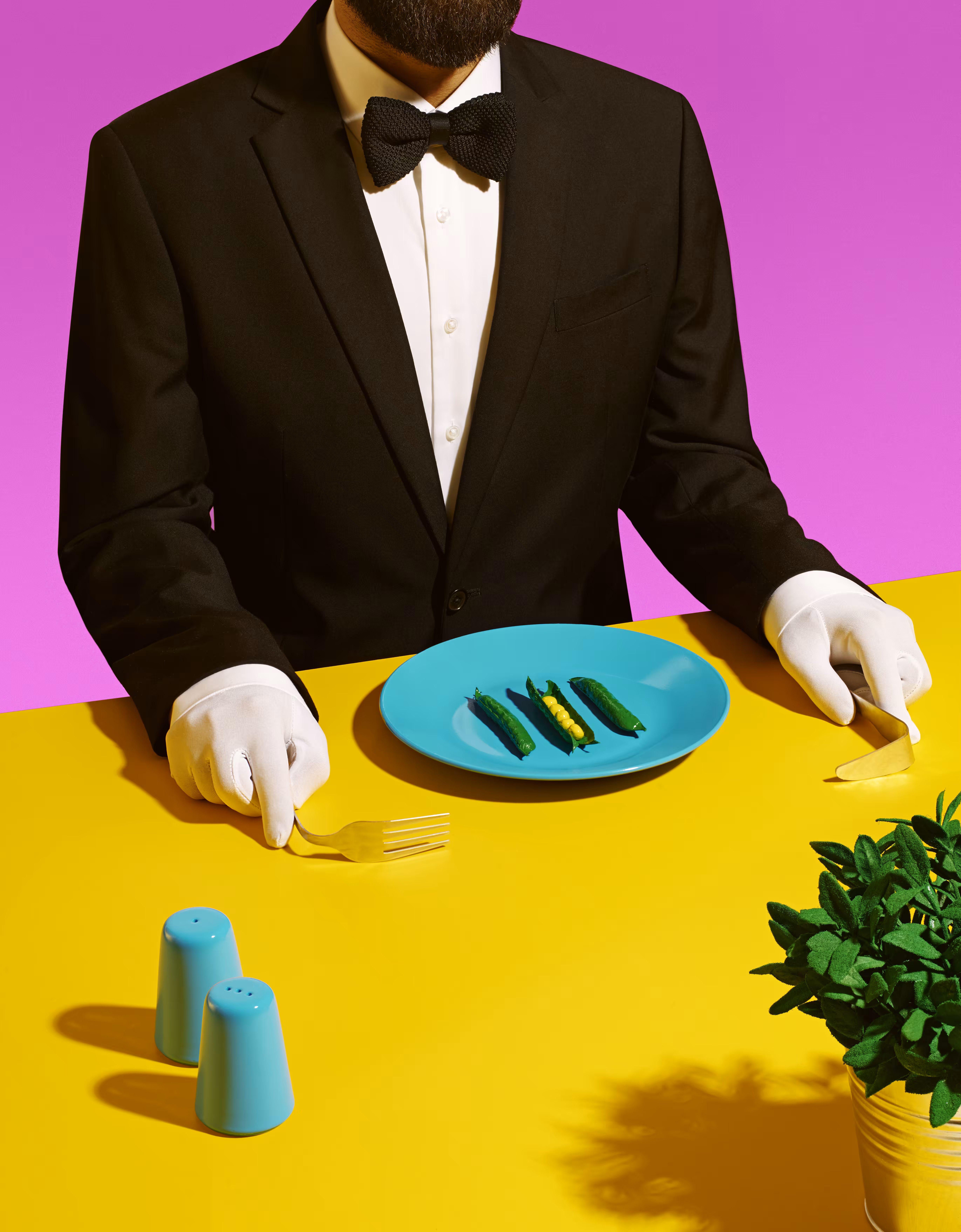 Fine Dining