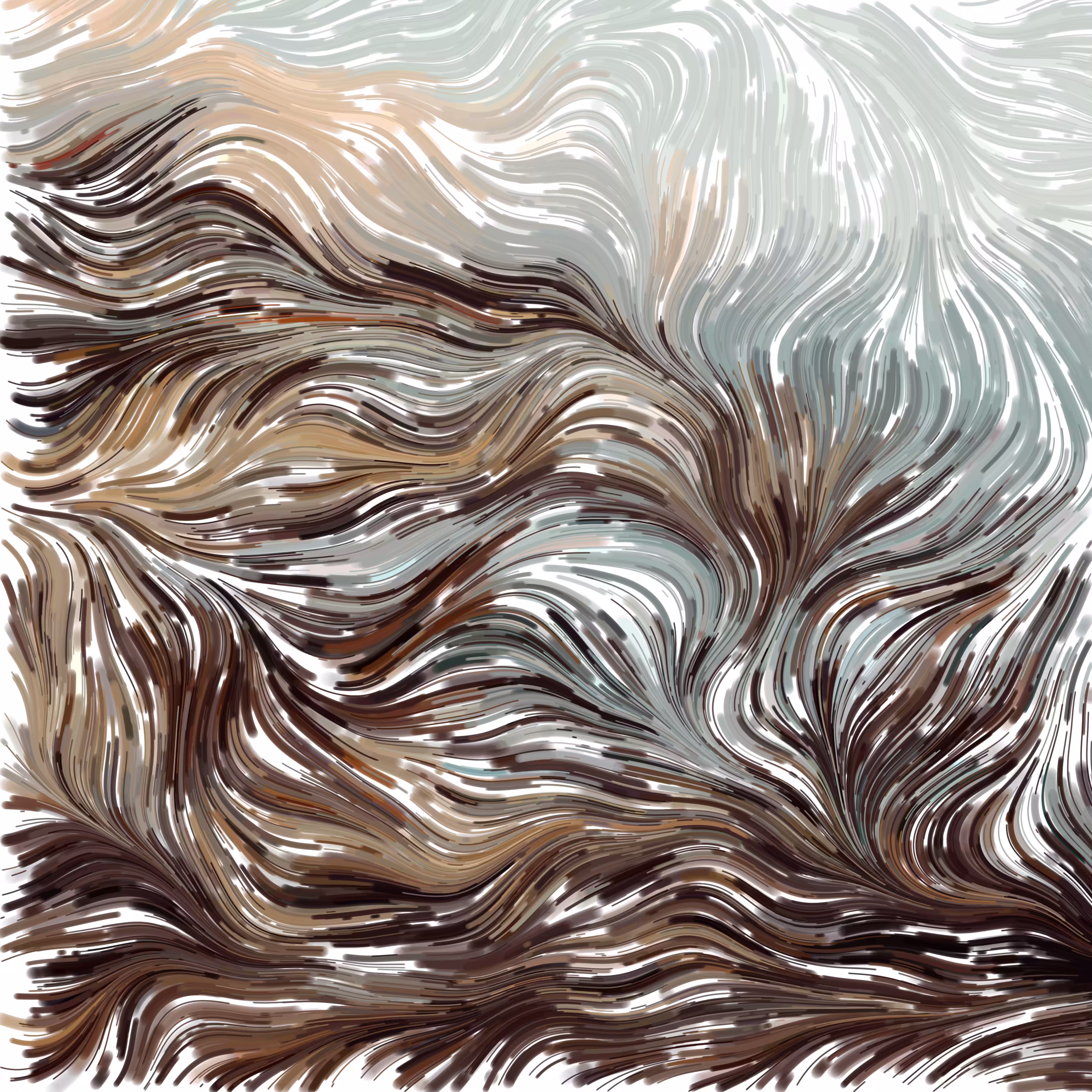 Flow Field V008