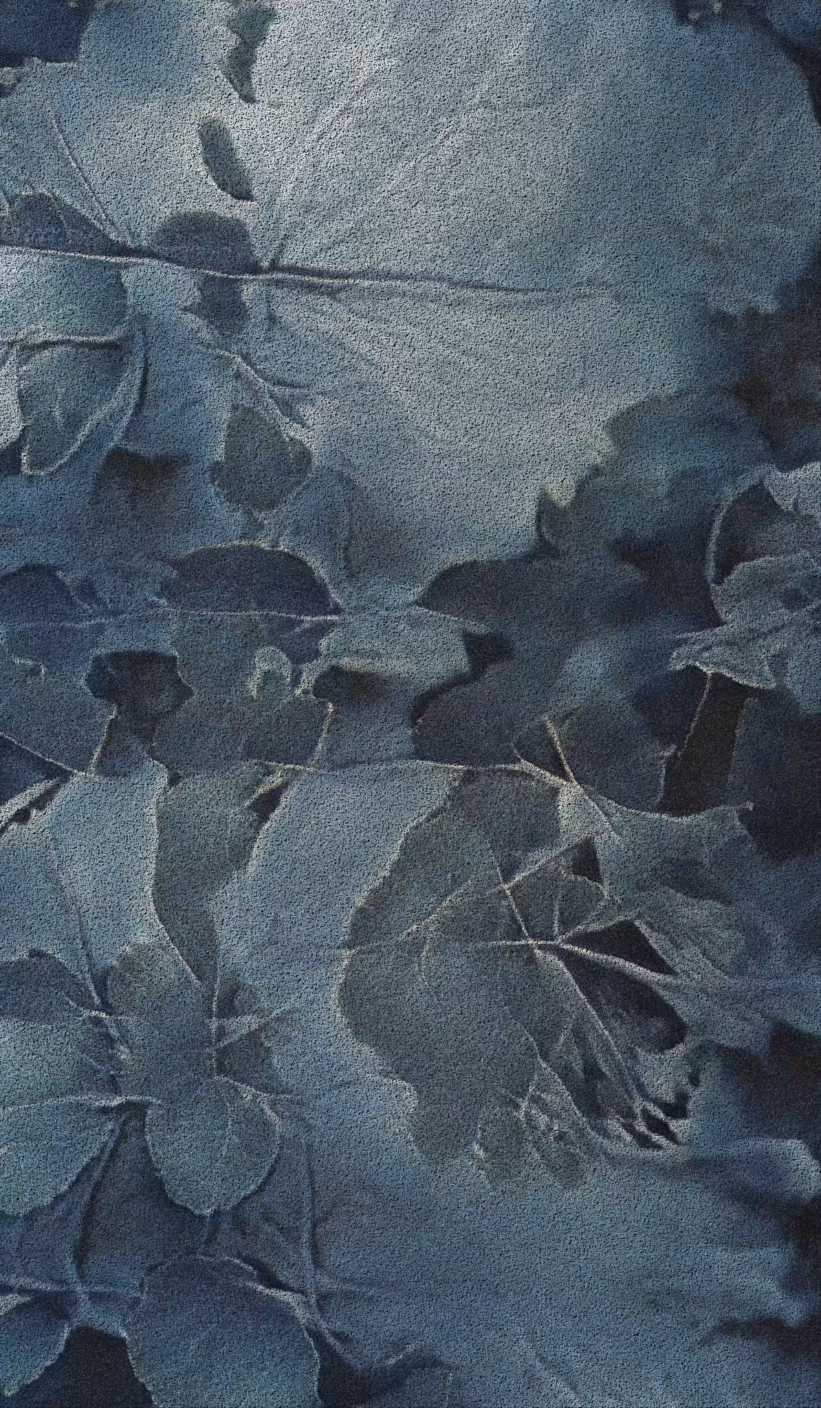 APPARATUS-VITIS: Apparatus Vitis #57