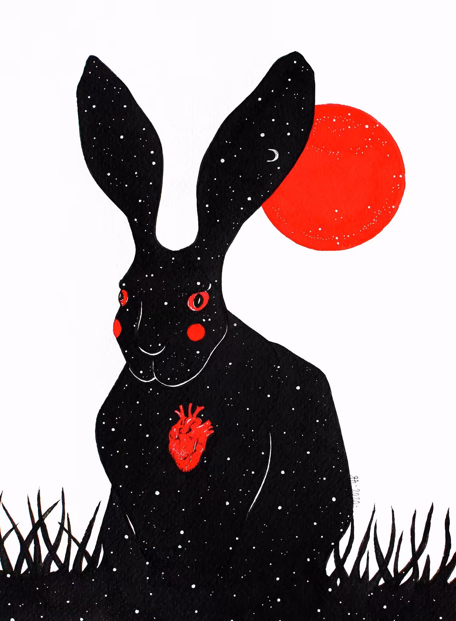 Shadow of the black rabbit.